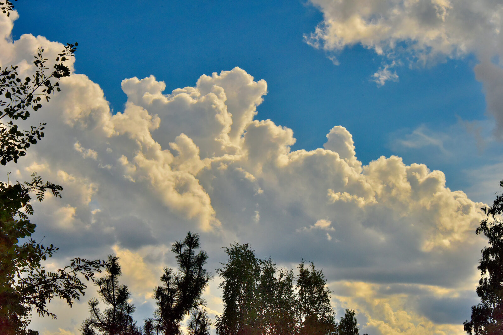 Valokuvaaja: Reijo Juurinen Valokuvaaja: Reijo Juurinen