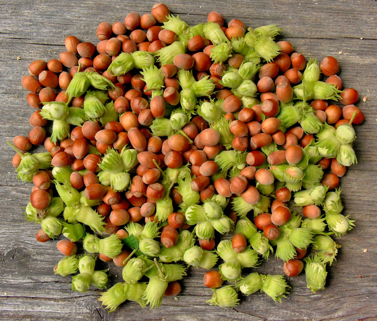 Valokuvaaja: Reijo Juurinen