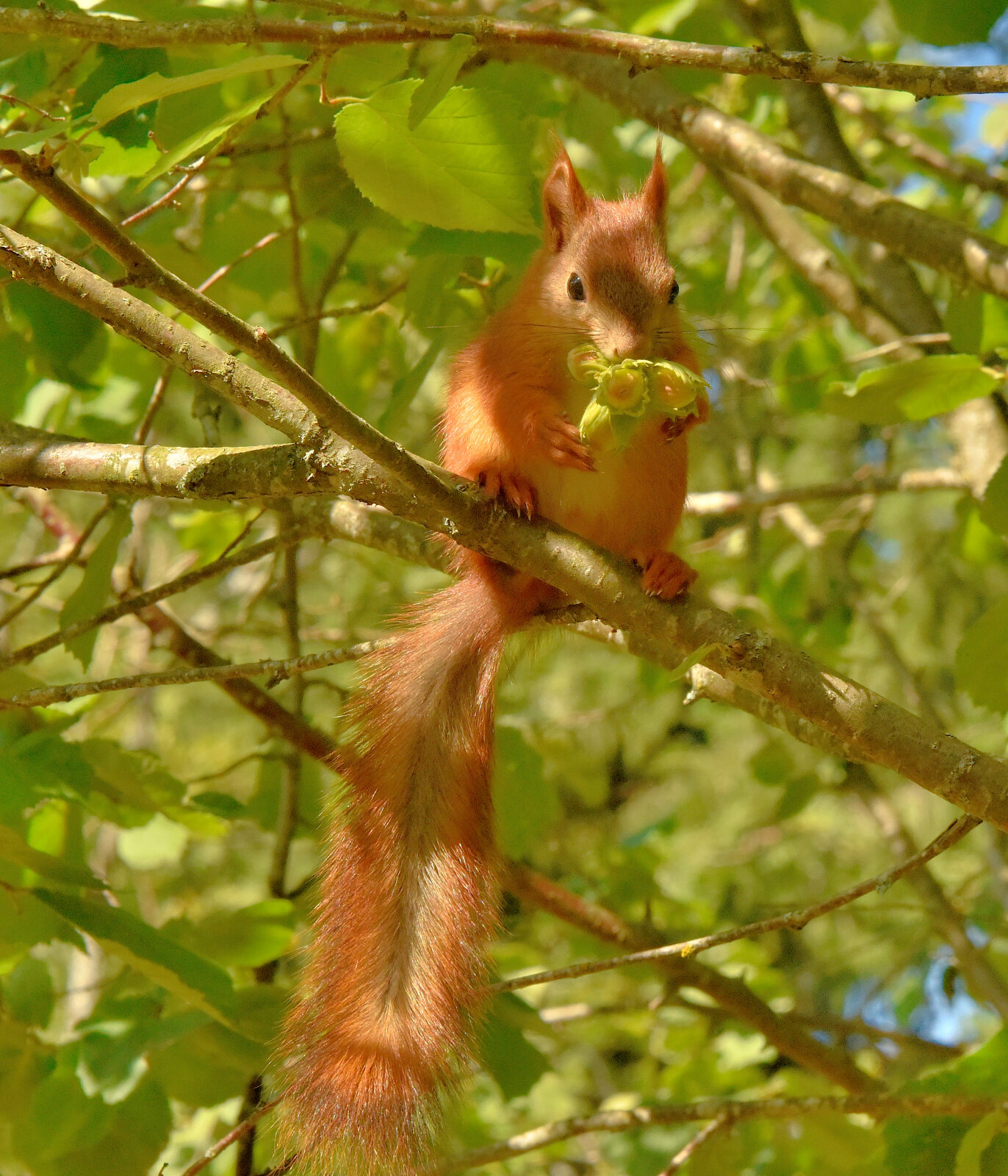Valokuvaaja: Reijo Juurinen