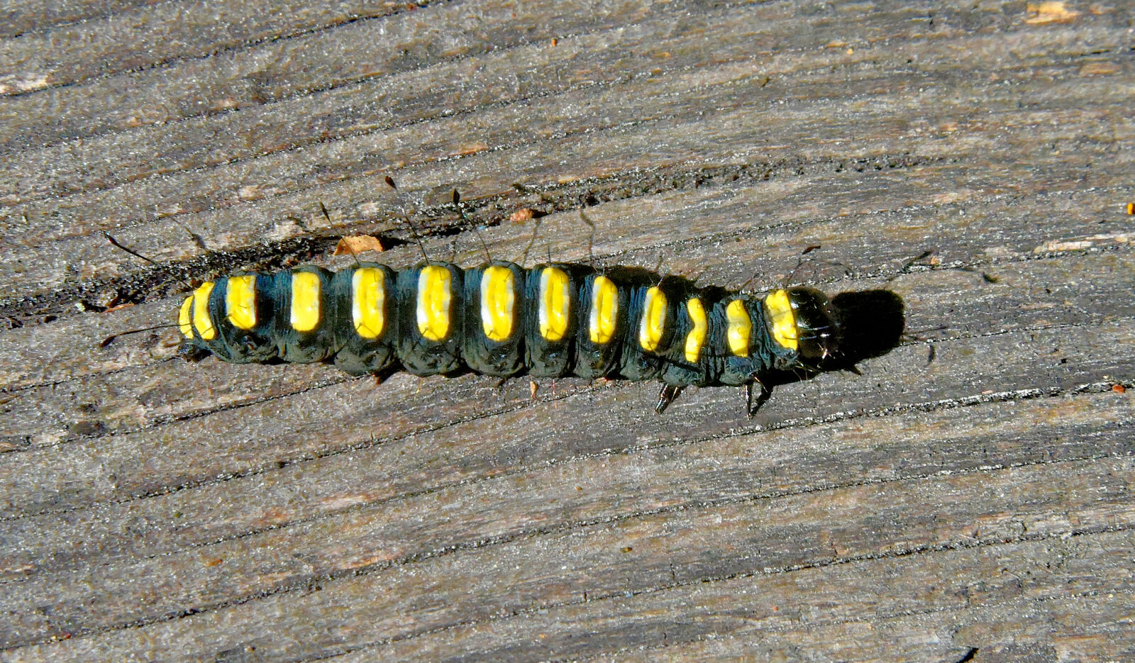 Valokuvaaja: Reijo Juurinen