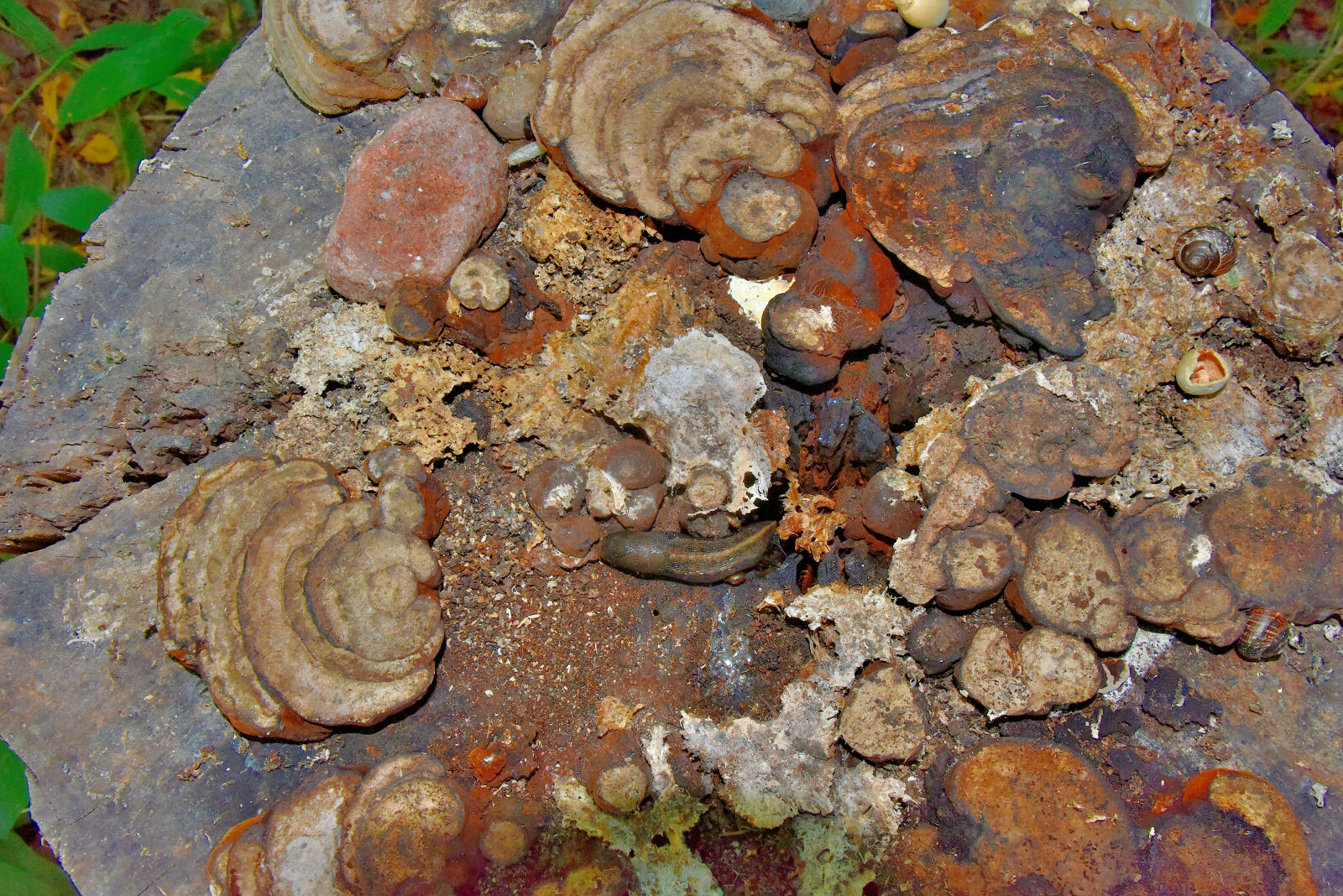 Valokuvaaja: Reijo Juurinen