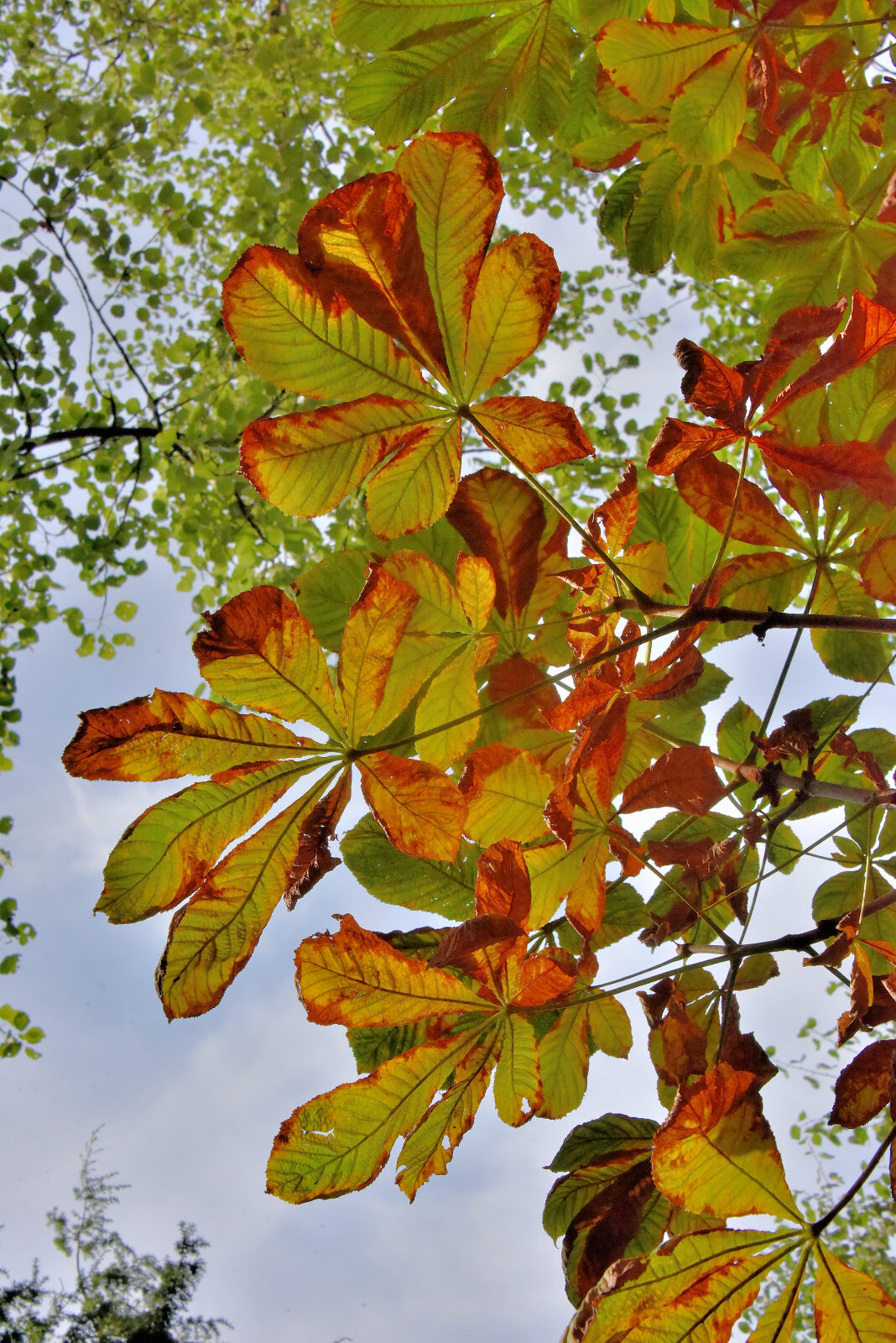 Valokuvaaja: Reijo Juurinen
