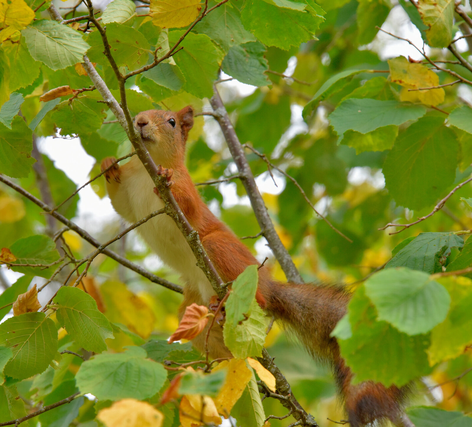Valokuvaaja: Reijo Juurinen Valokuvaaja: Reijo Juurinen