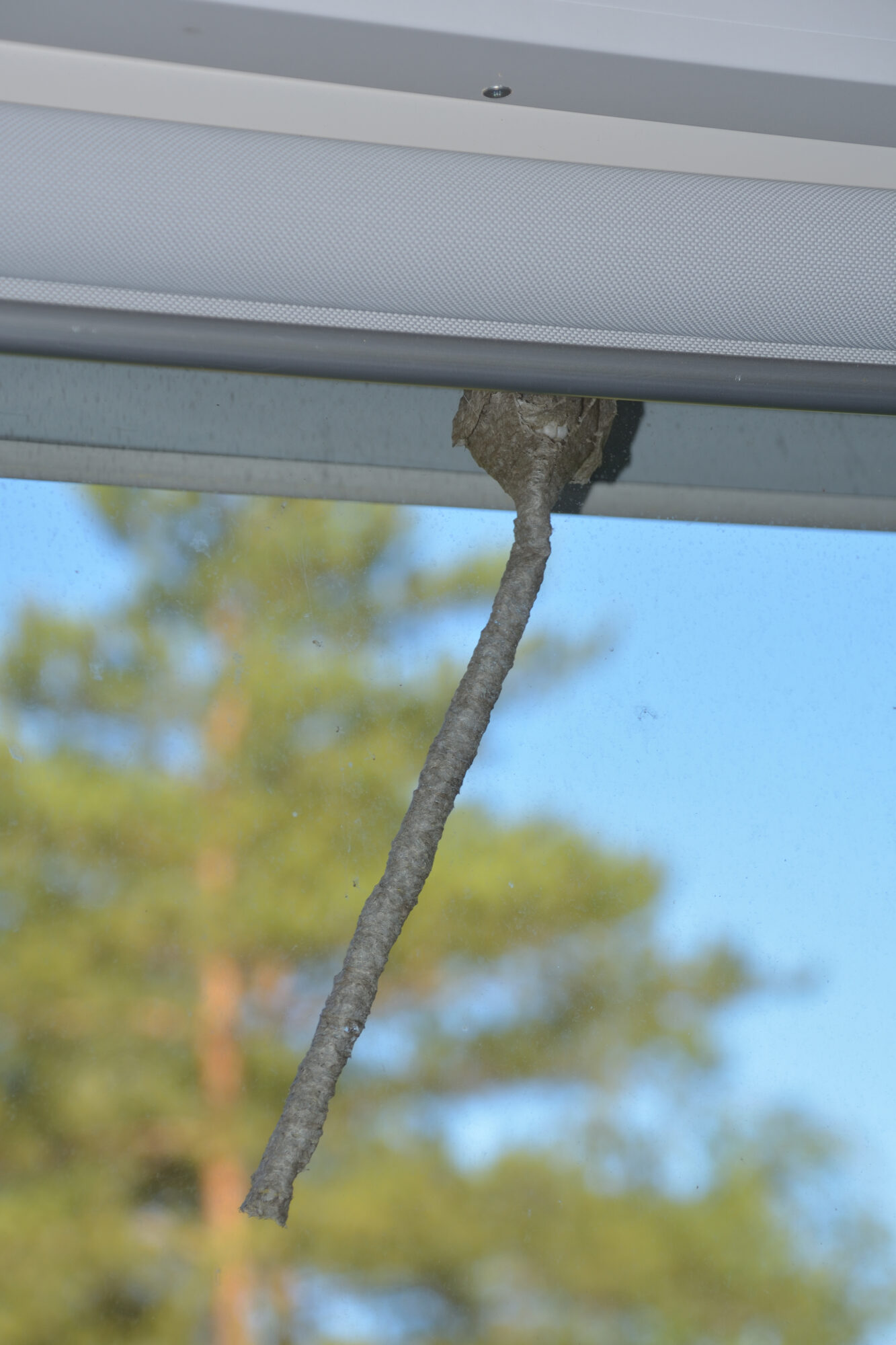 Valokuvaaja: Asko Heikkinen