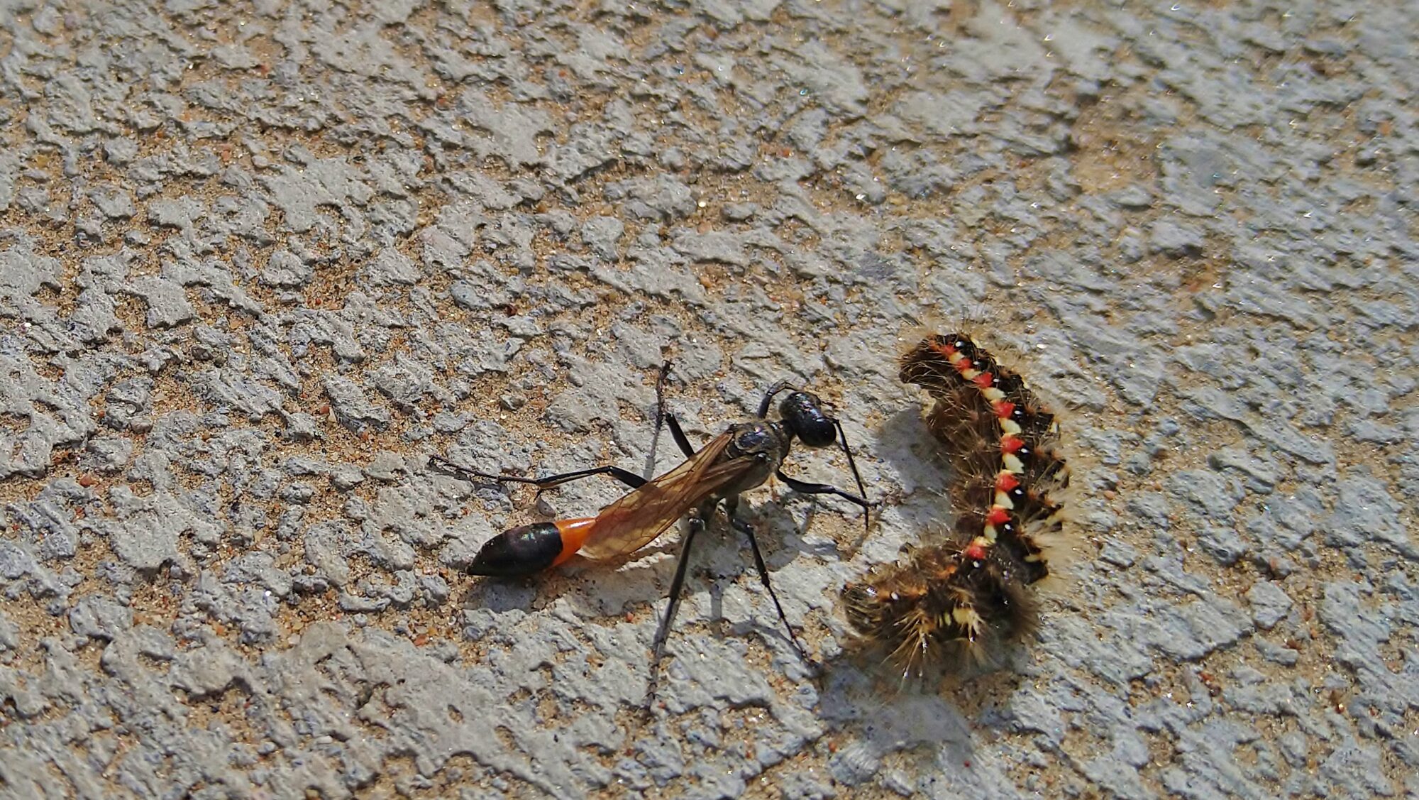 Valokuvaaja: Markku Pelkonen