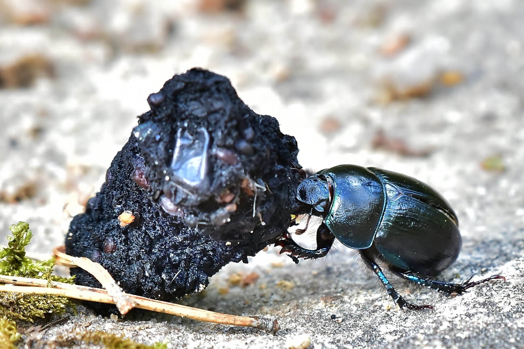 Valokuvaaja: Markku Pelkonen Valokuvaaja: Markku Pelkonen