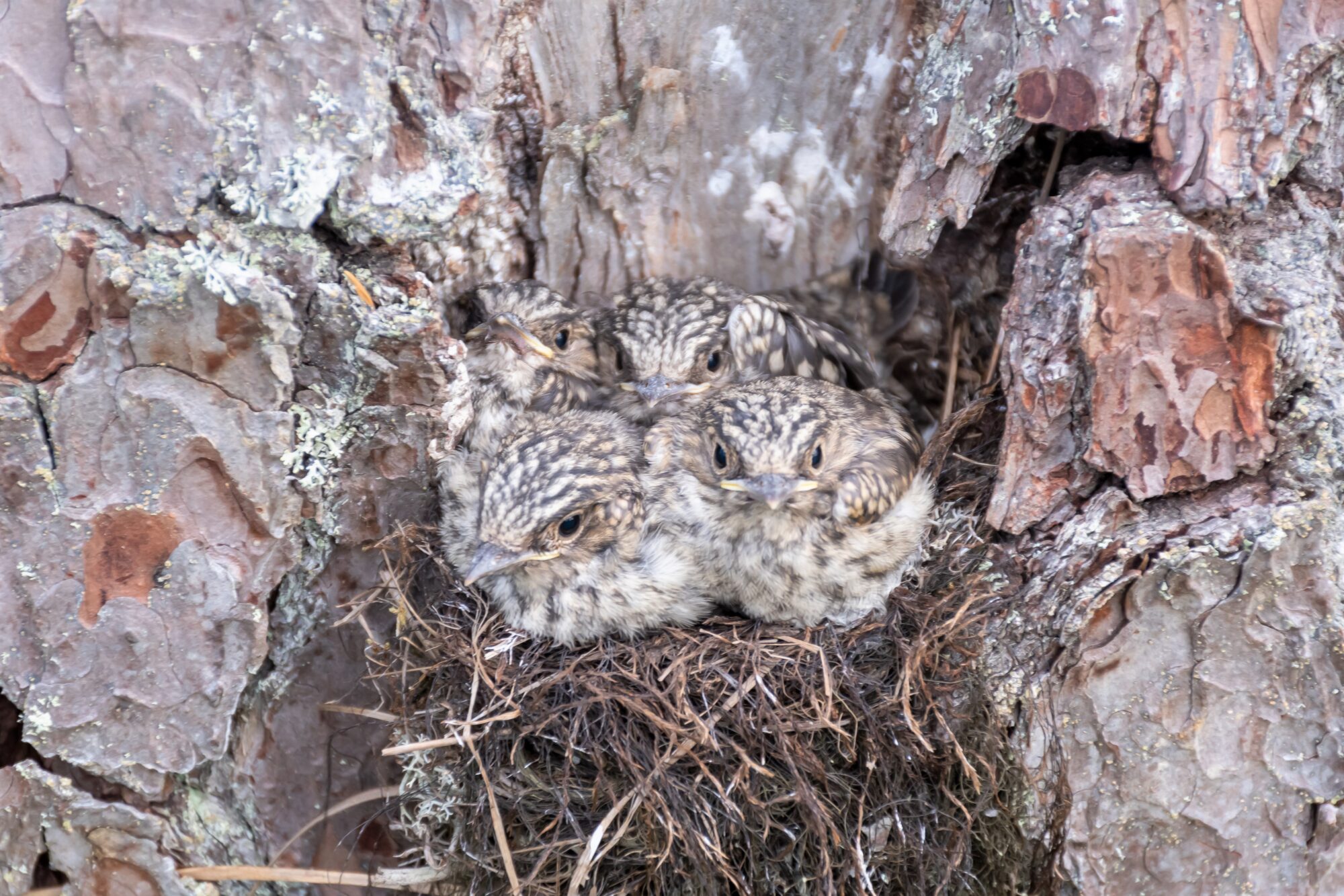 Valokuvaaja: Leena Rissanen