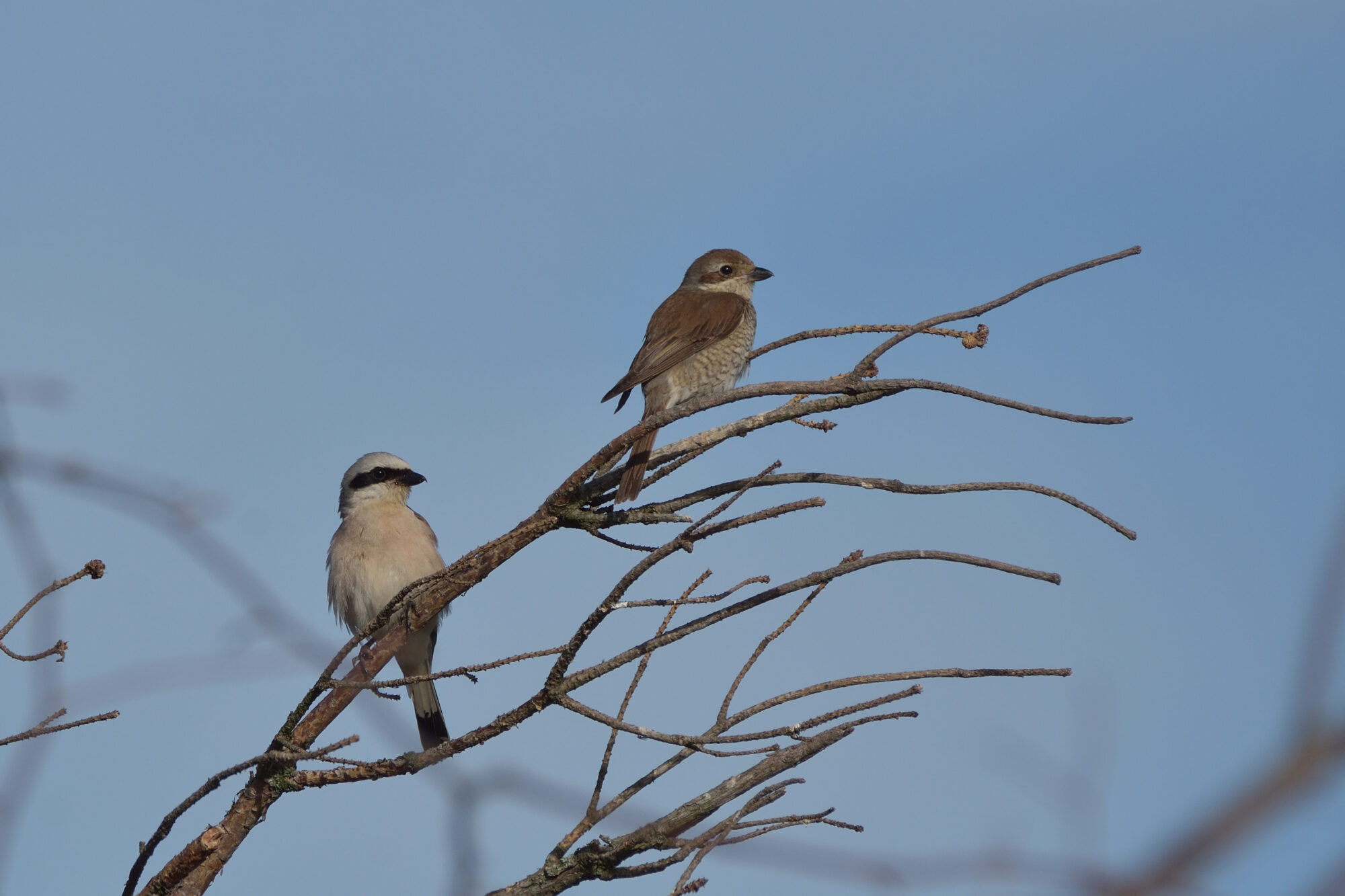 Valokuvaaja: Asko Heikkinen