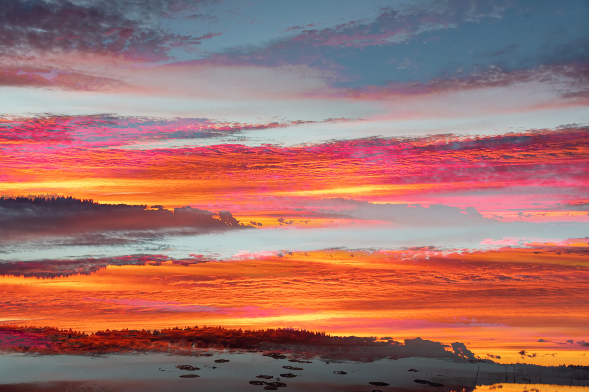 Valokuvaaja: Leena Rissanen