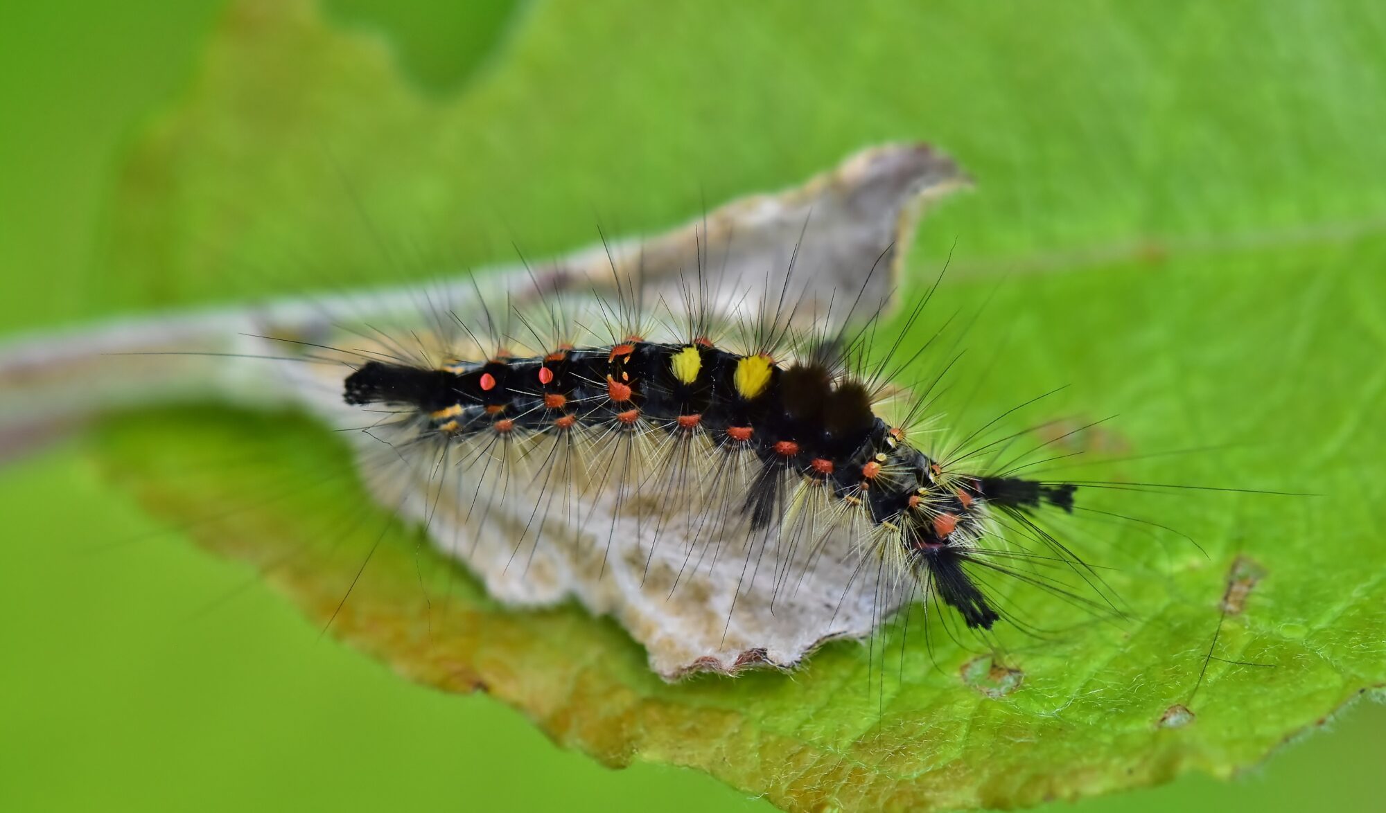 Valokuvaaja: Markku Pelkonen