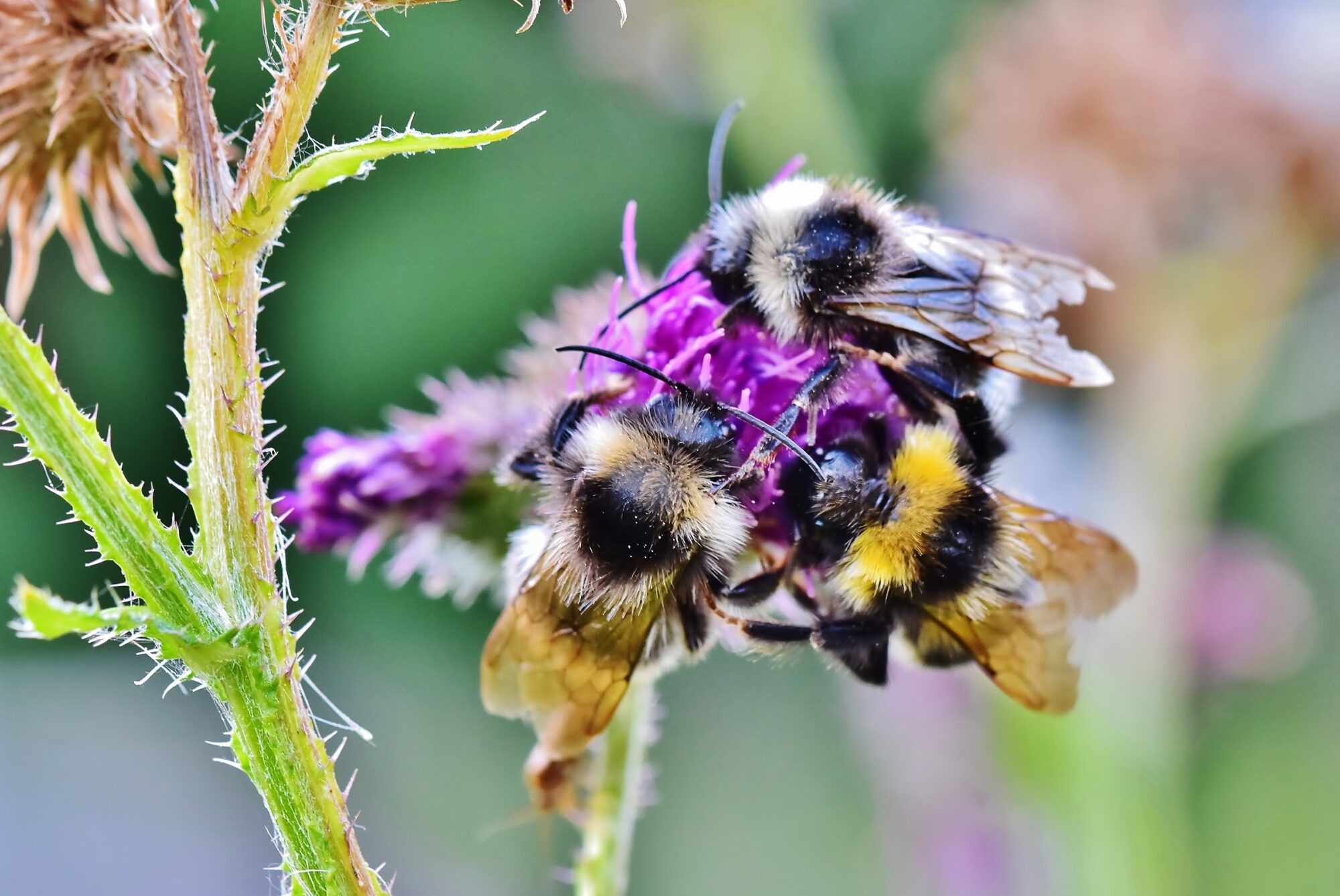 Valokuvaaja: Markku Pelkonen