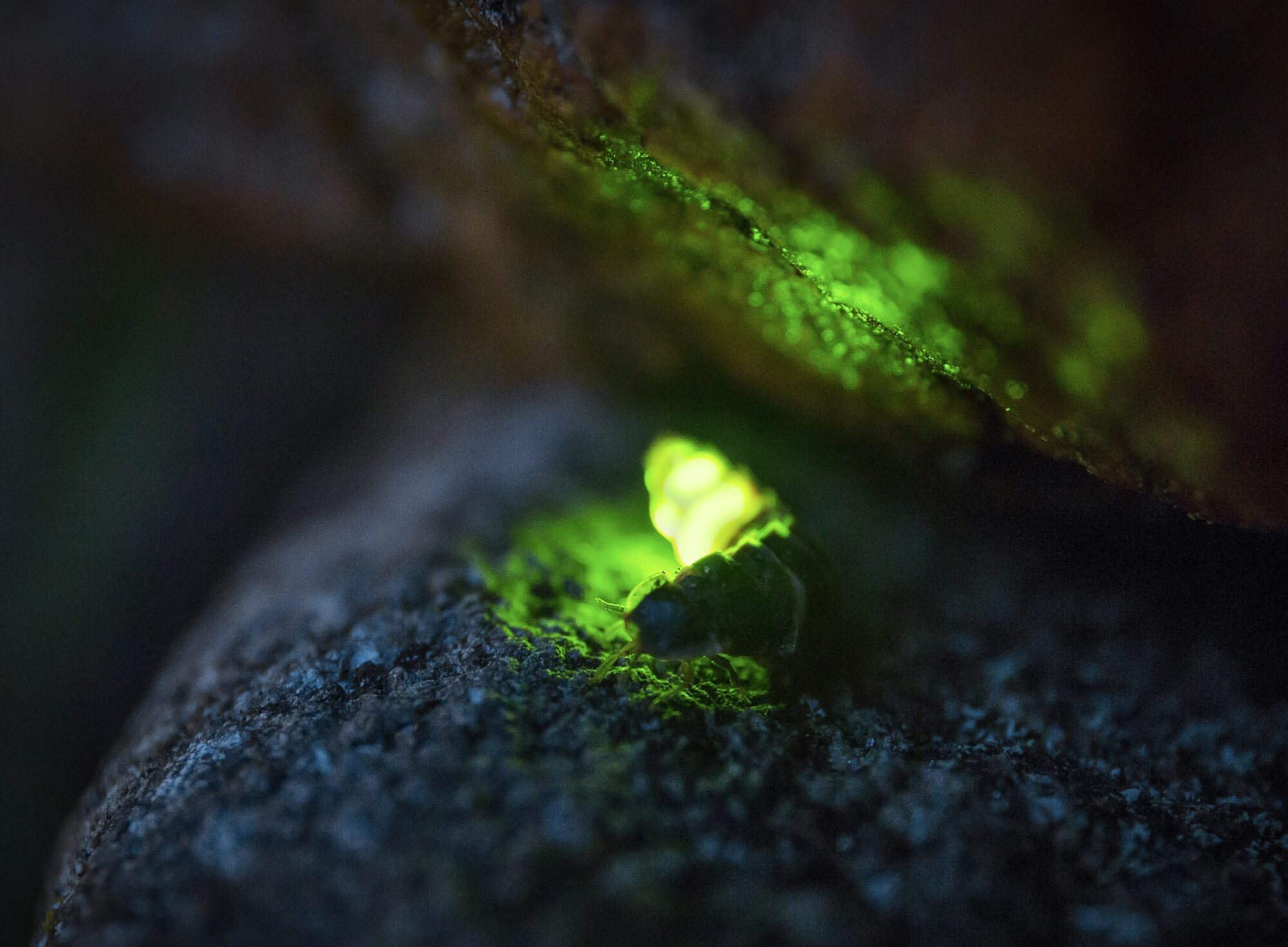 Valokuvaaja: Sampo Kiviniemi