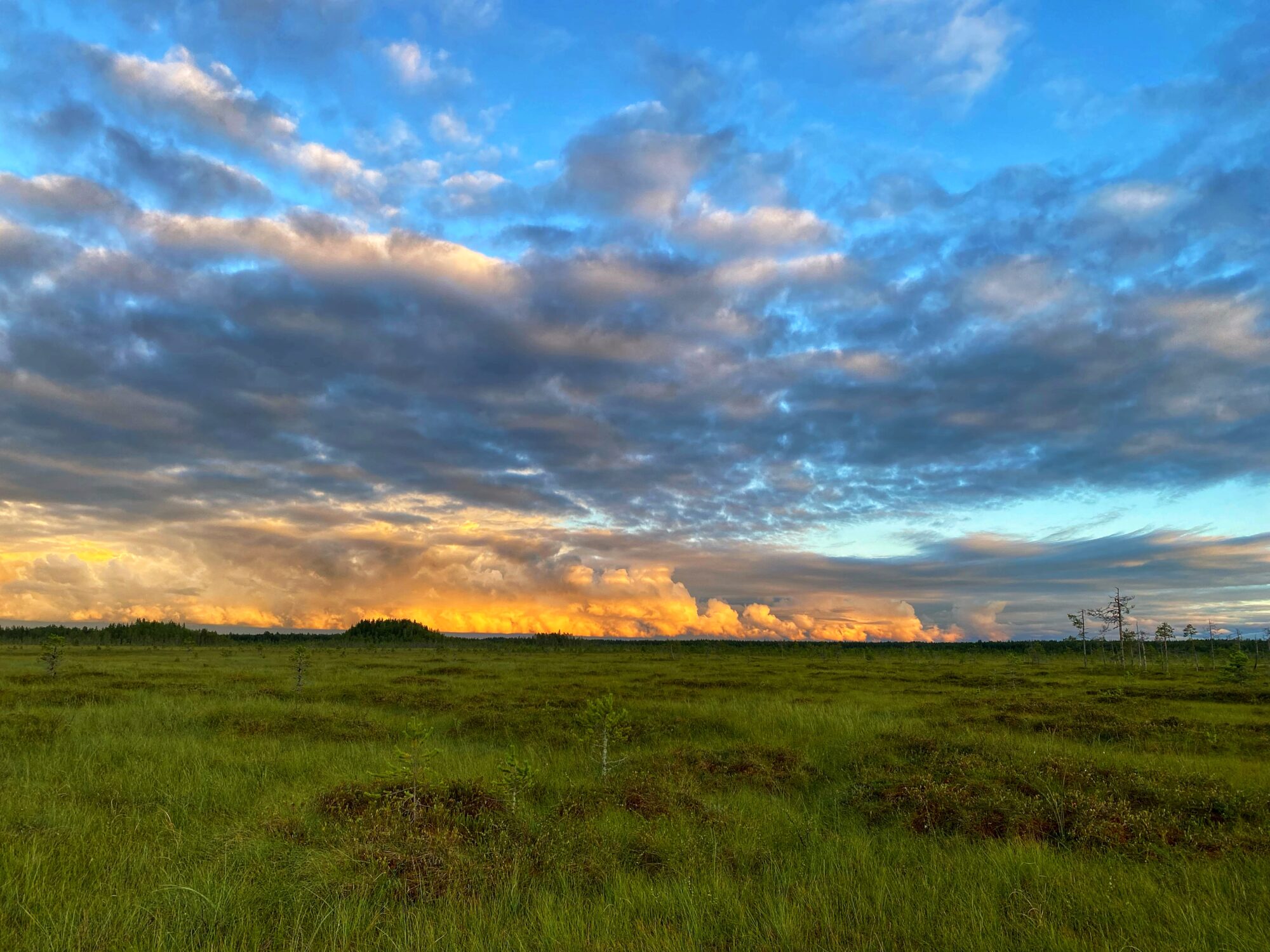 Valokuvaaja: Sonja Jaakola