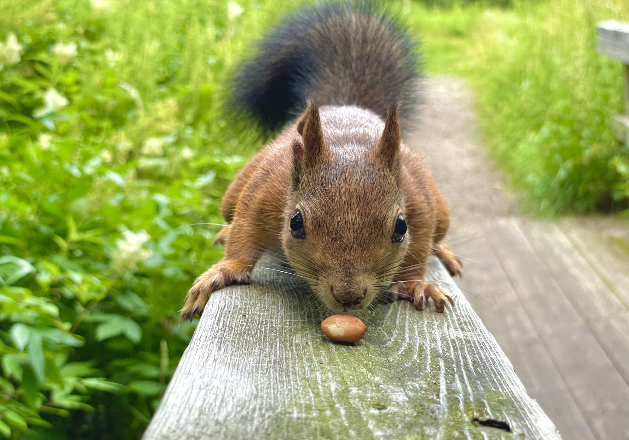 Valokuvaaja: Juhani Peltonen