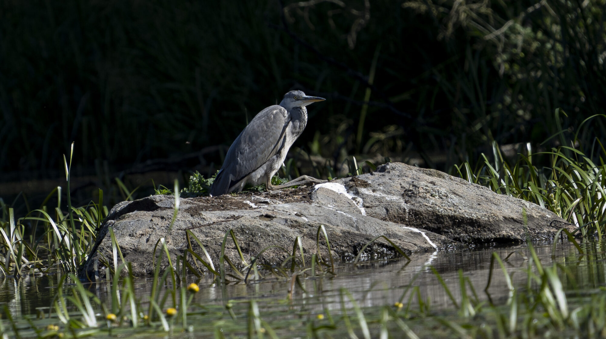 Valokuvaaja: Eero Peltonenn