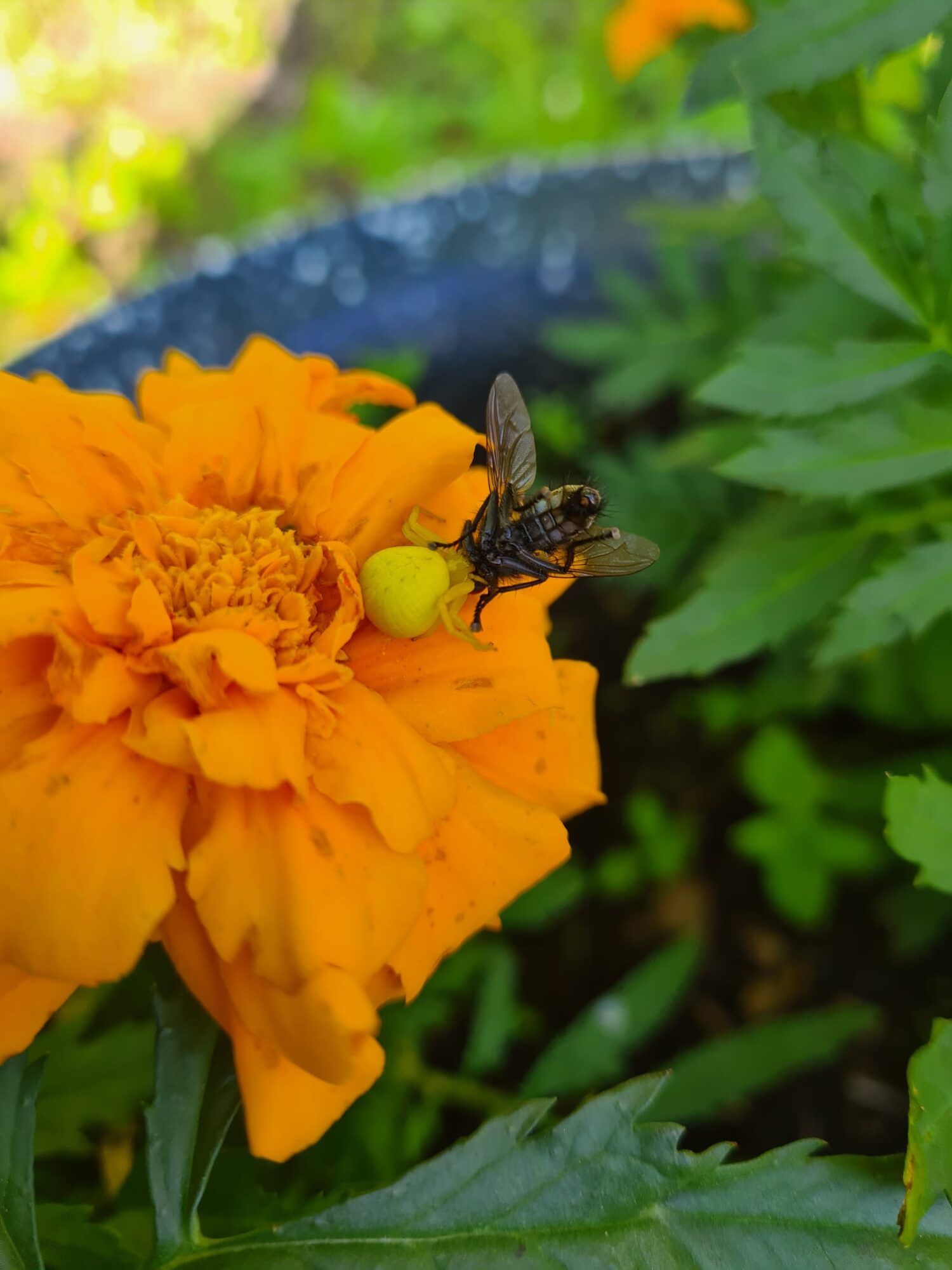 Valokuvaaja: Hannu Salonen