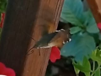 Valokuvaaja: Heidi Saari