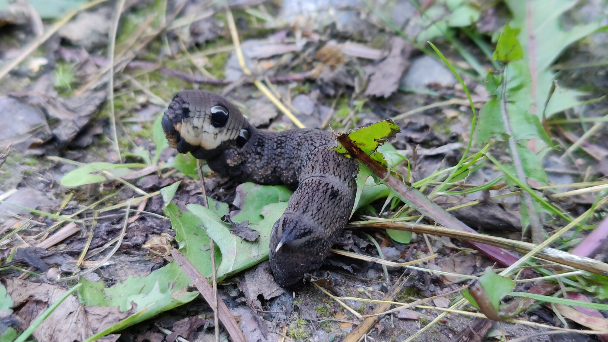 Valokuvaaja: Heidi Huovinen