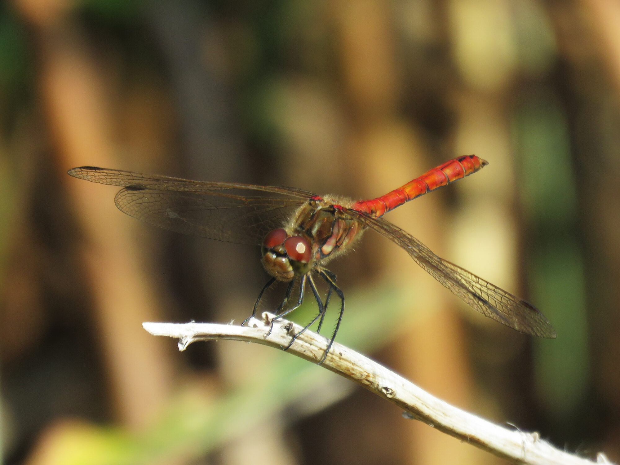 Valokuvaaja: Liisa Johansson