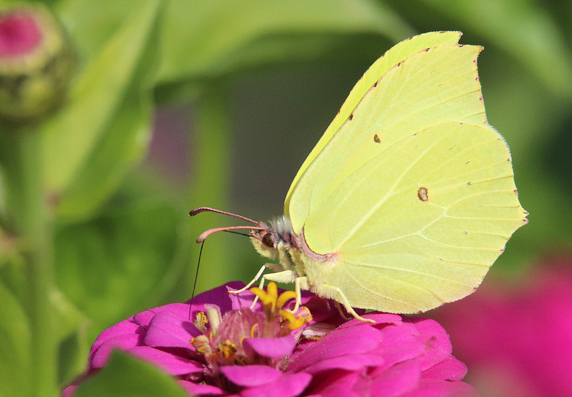Valokuvaaja: Irja Lehtinen
