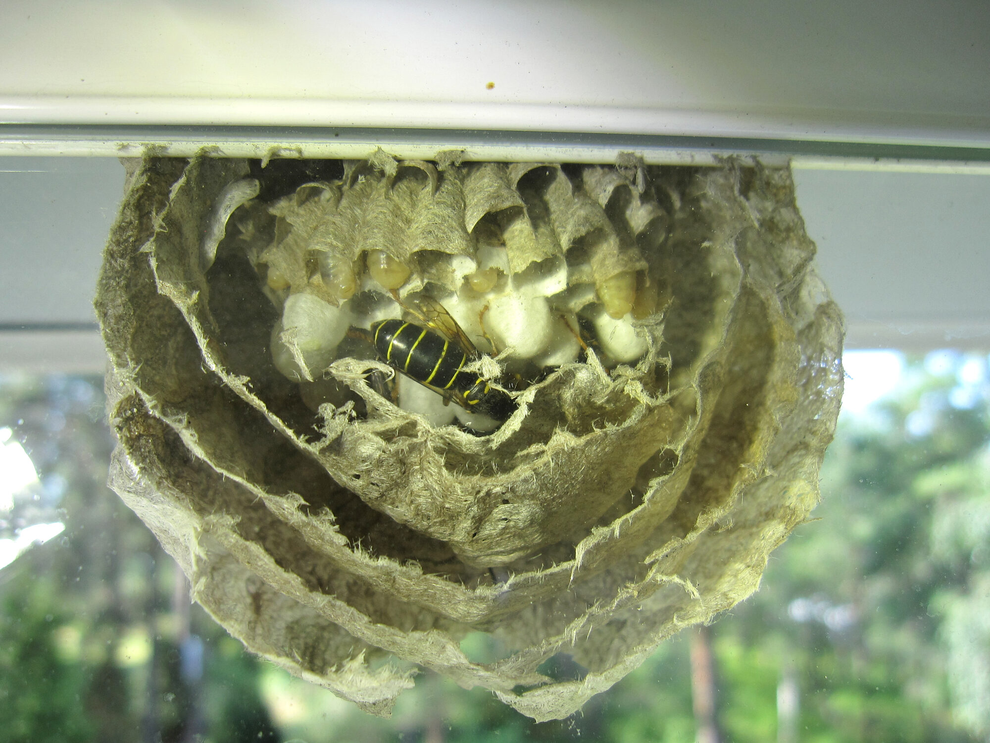 Valokuvaaja: Asko Heikkinen