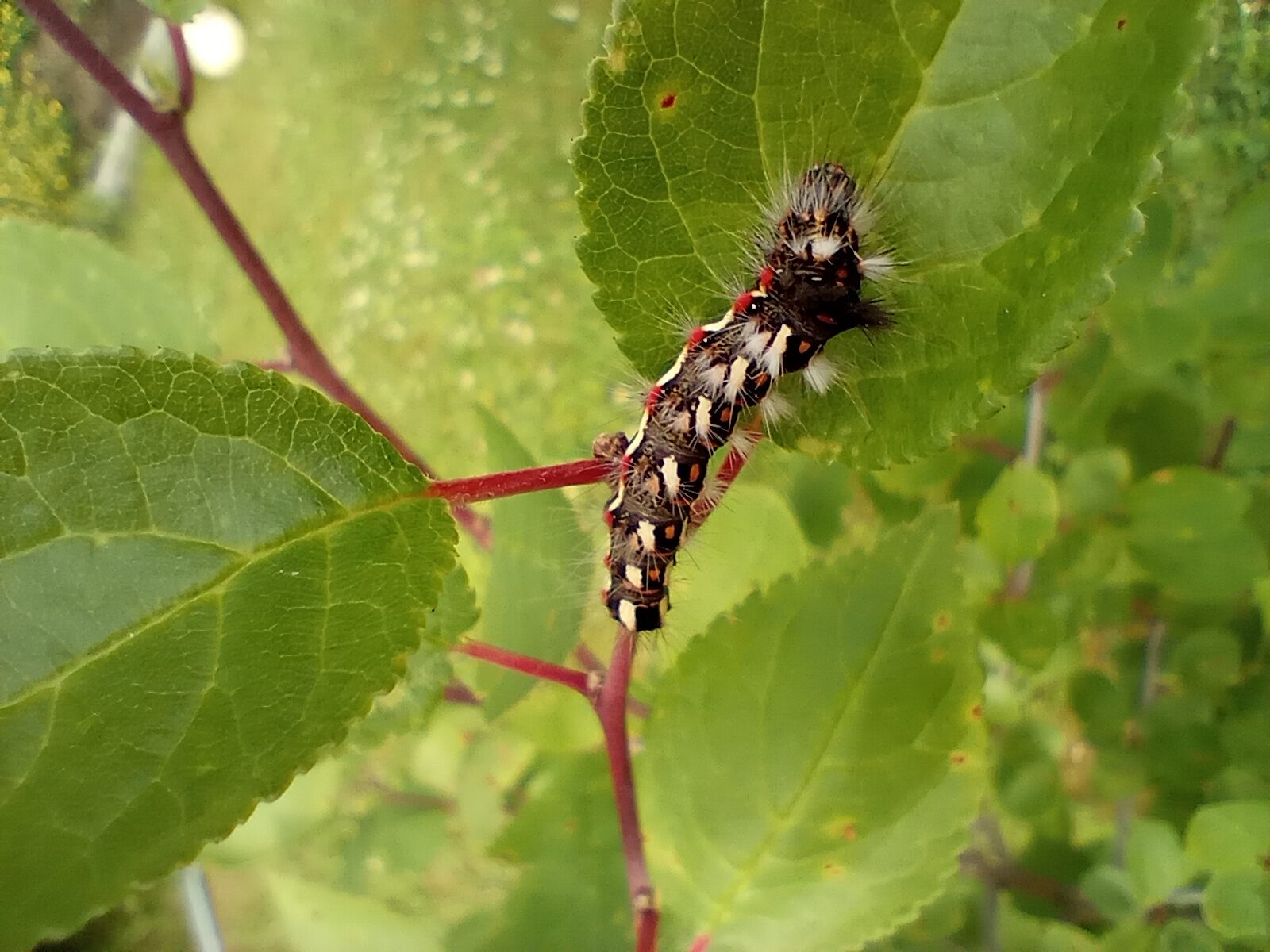 Valokuvaaja: Kirsi Juusela