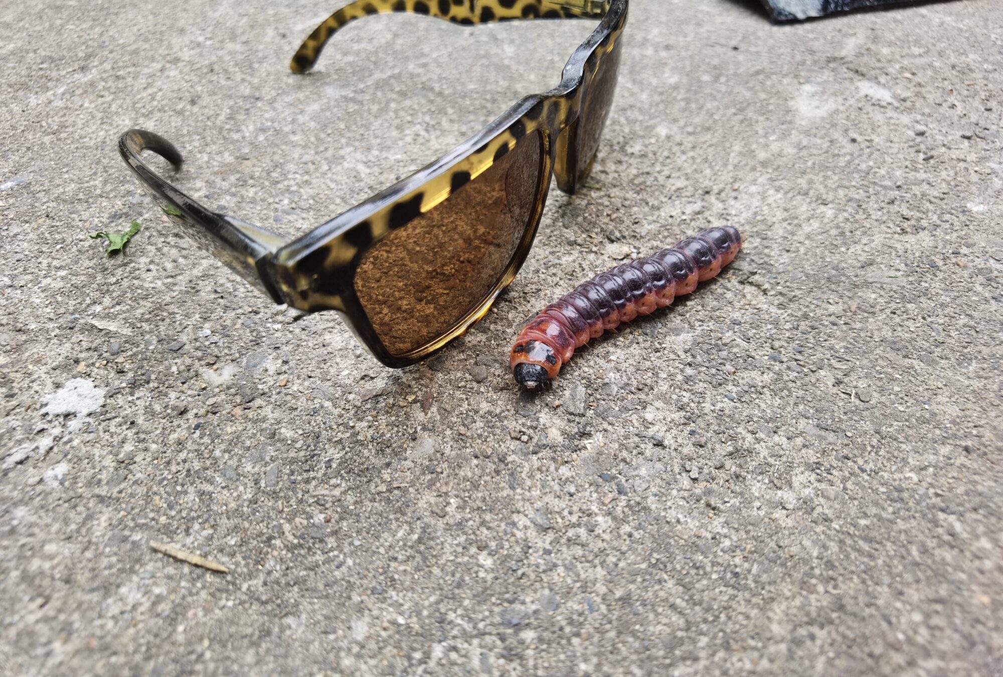 Valokuvaaja: Juhamatti Niskasaari