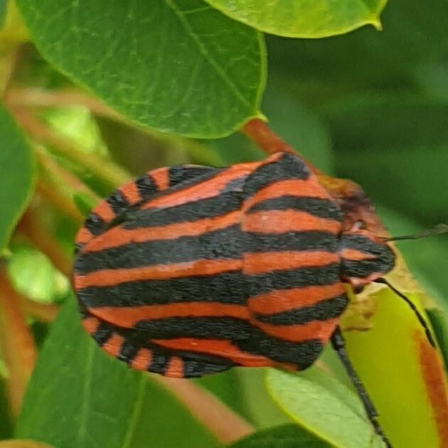 Valokuvaaja: Sari Stam