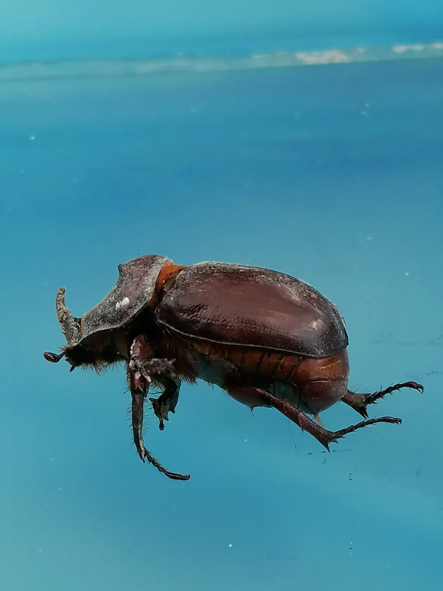 Valokuvaaja: Anneli Niemelä