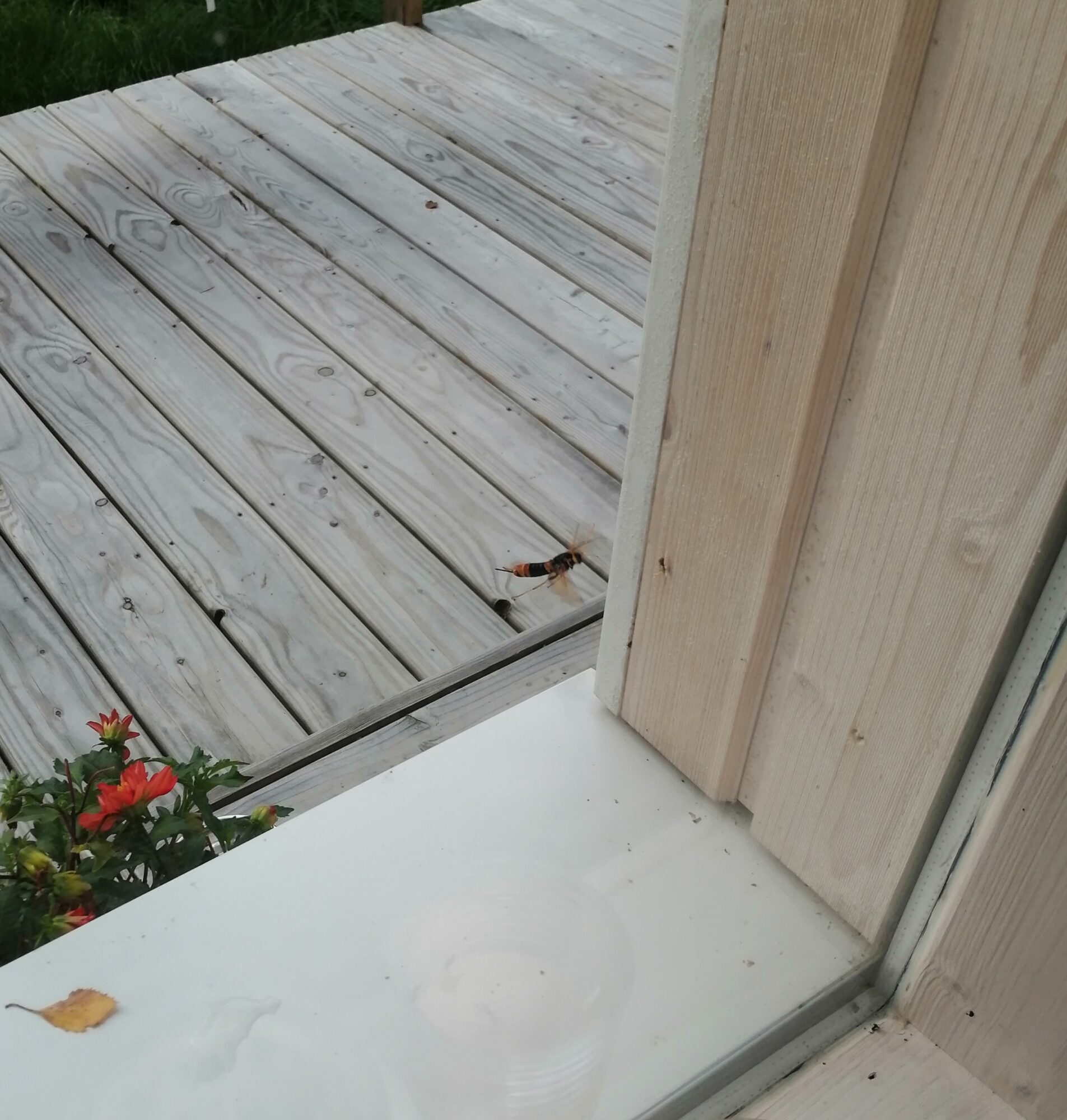 Valokuvaaja: Irma Karjalainen