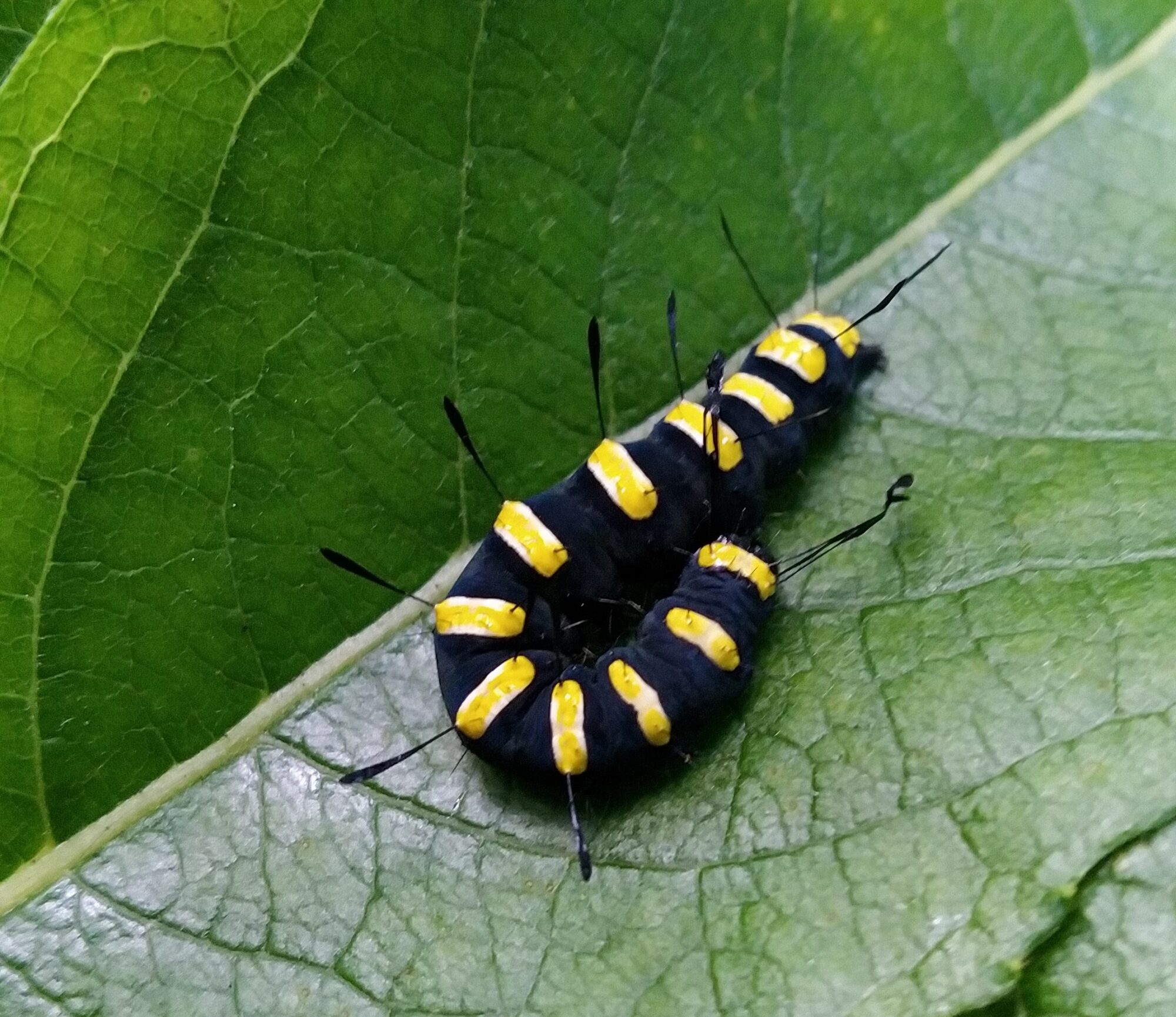Valokuvaaja: Anne Puustinen