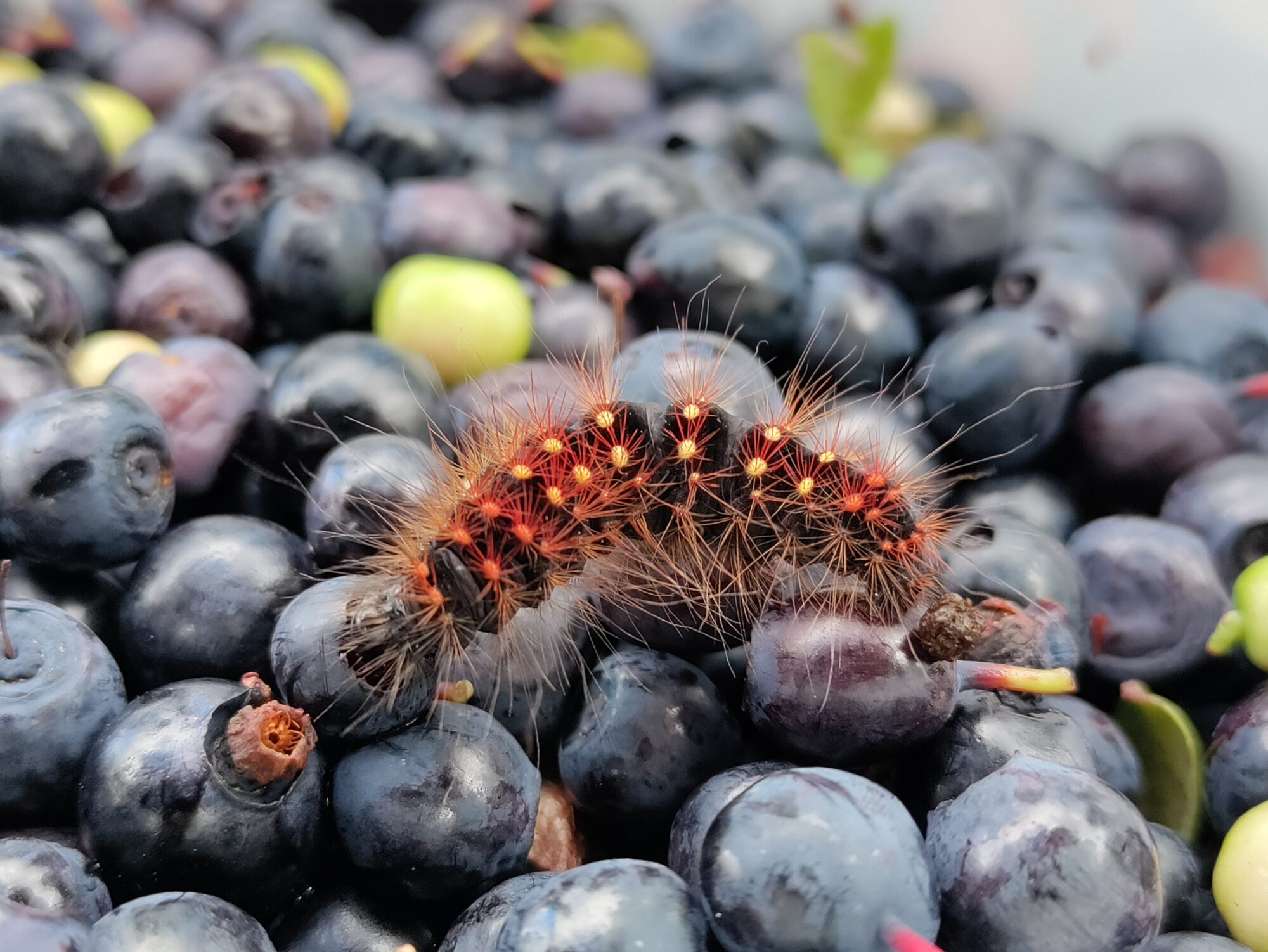 Valokuvaaja: Helena Sytelä