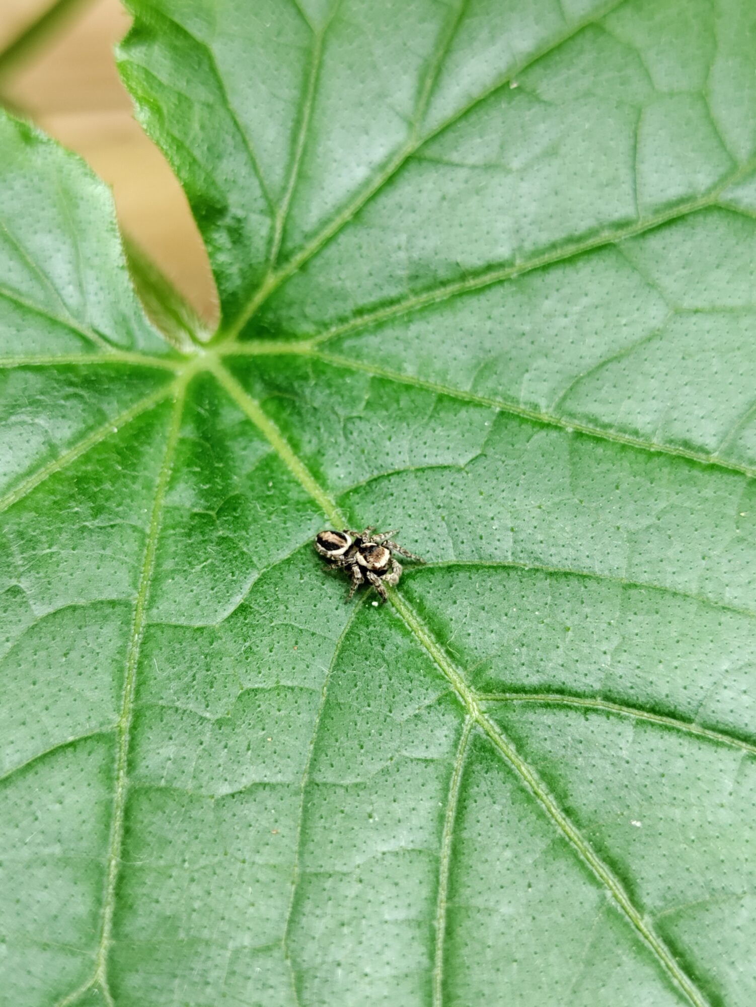 Valokuvaaja: Ella Vitikka