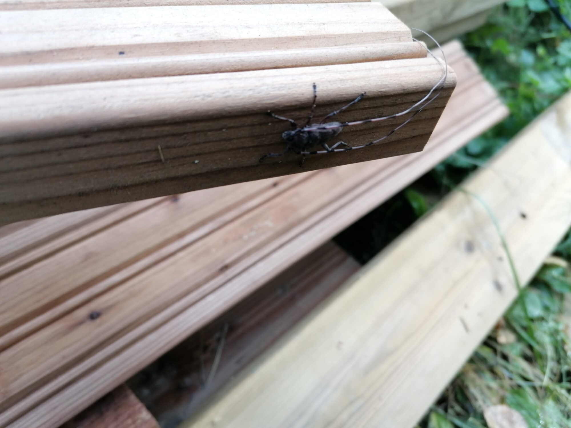 Valokuvaaja: kalle Lamminen