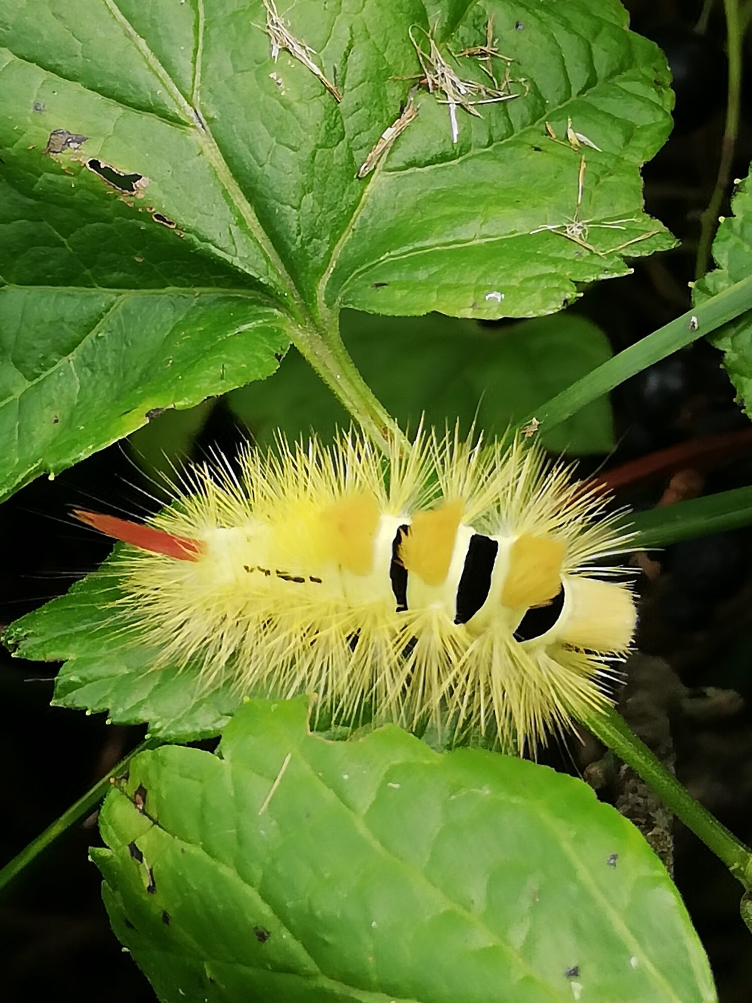Valokuvaaja: Aila Kontkanen Valokuvaaja: Aila Kontkanen