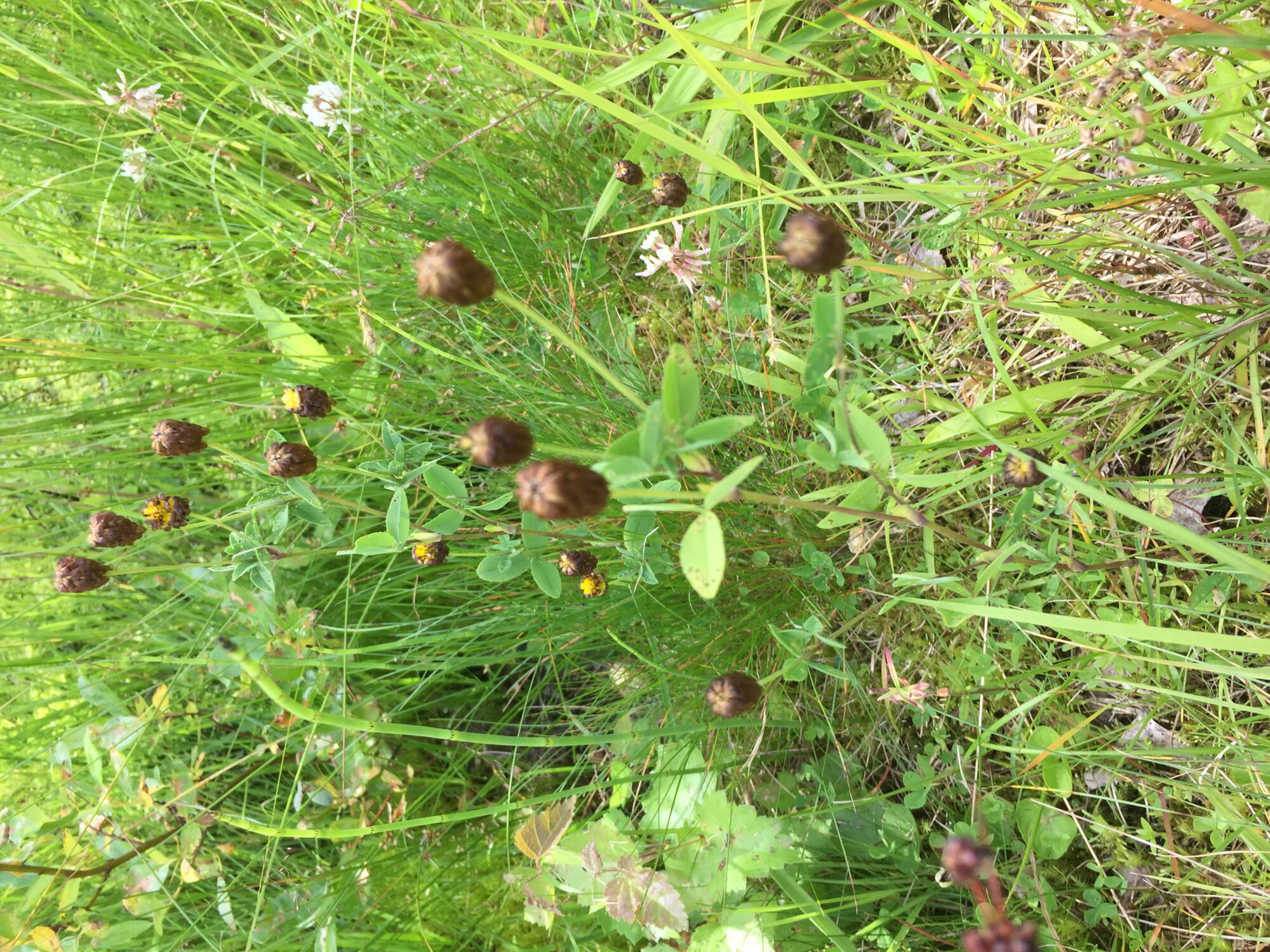 Valokuvaaja: Merja Liuska