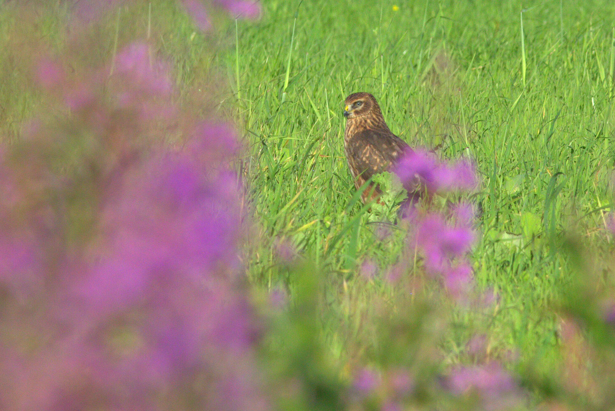 Valokuvaaja: Tapio Keinonen Valokuvaaja: Tapio Keinonen
