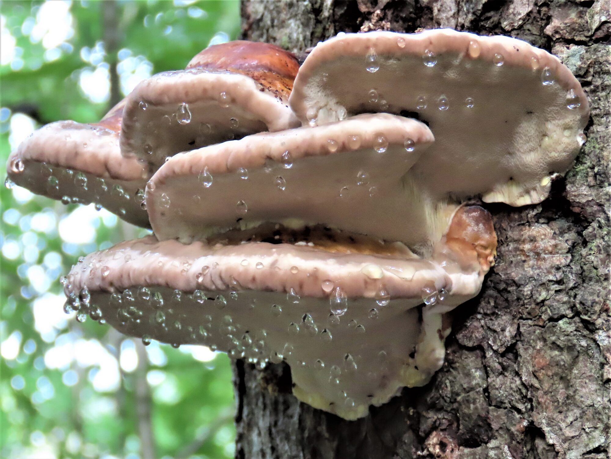 Valokuvaaja: Birgit Silvennoinen