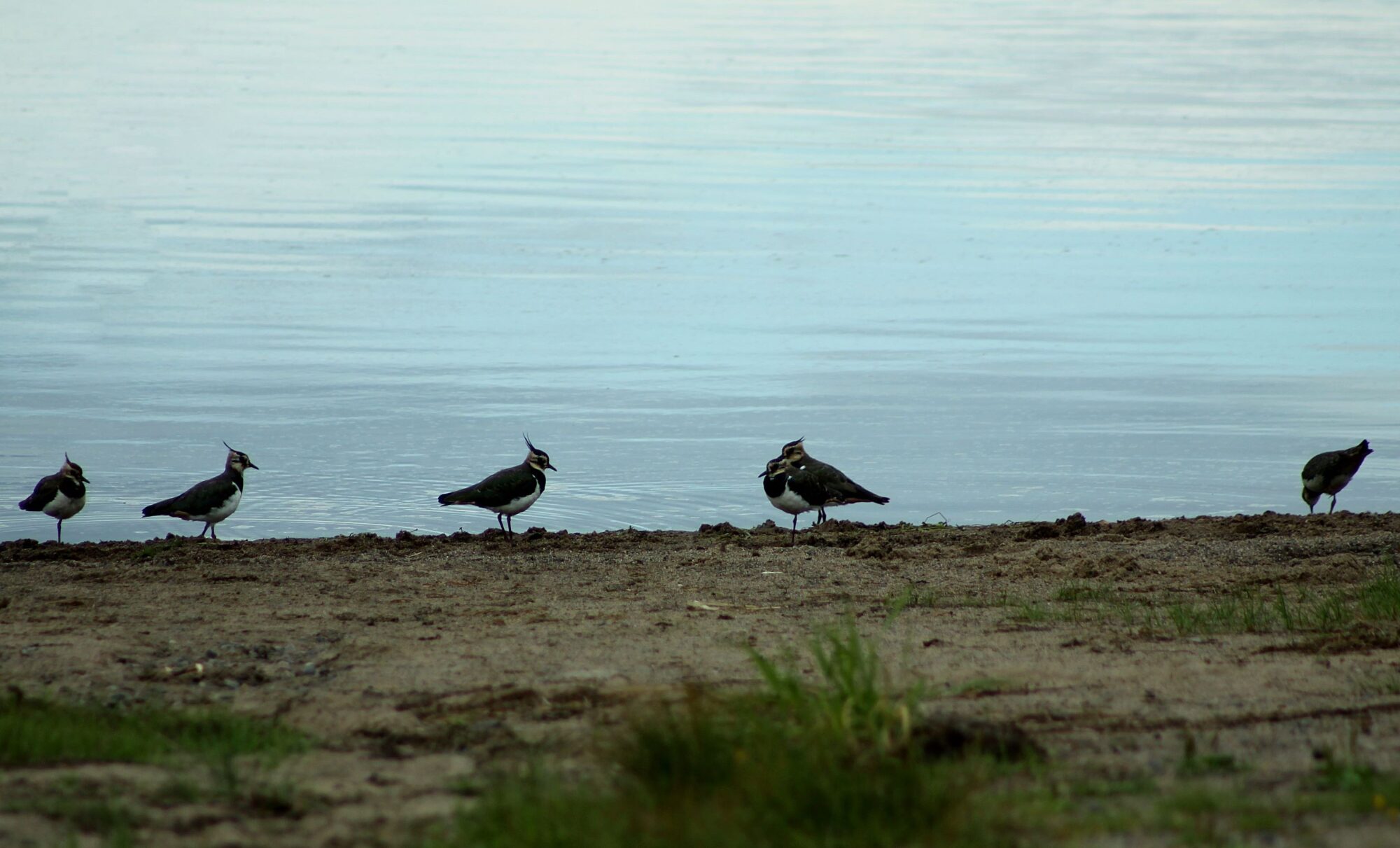 Valokuvaaja: Pirkko Siukonen