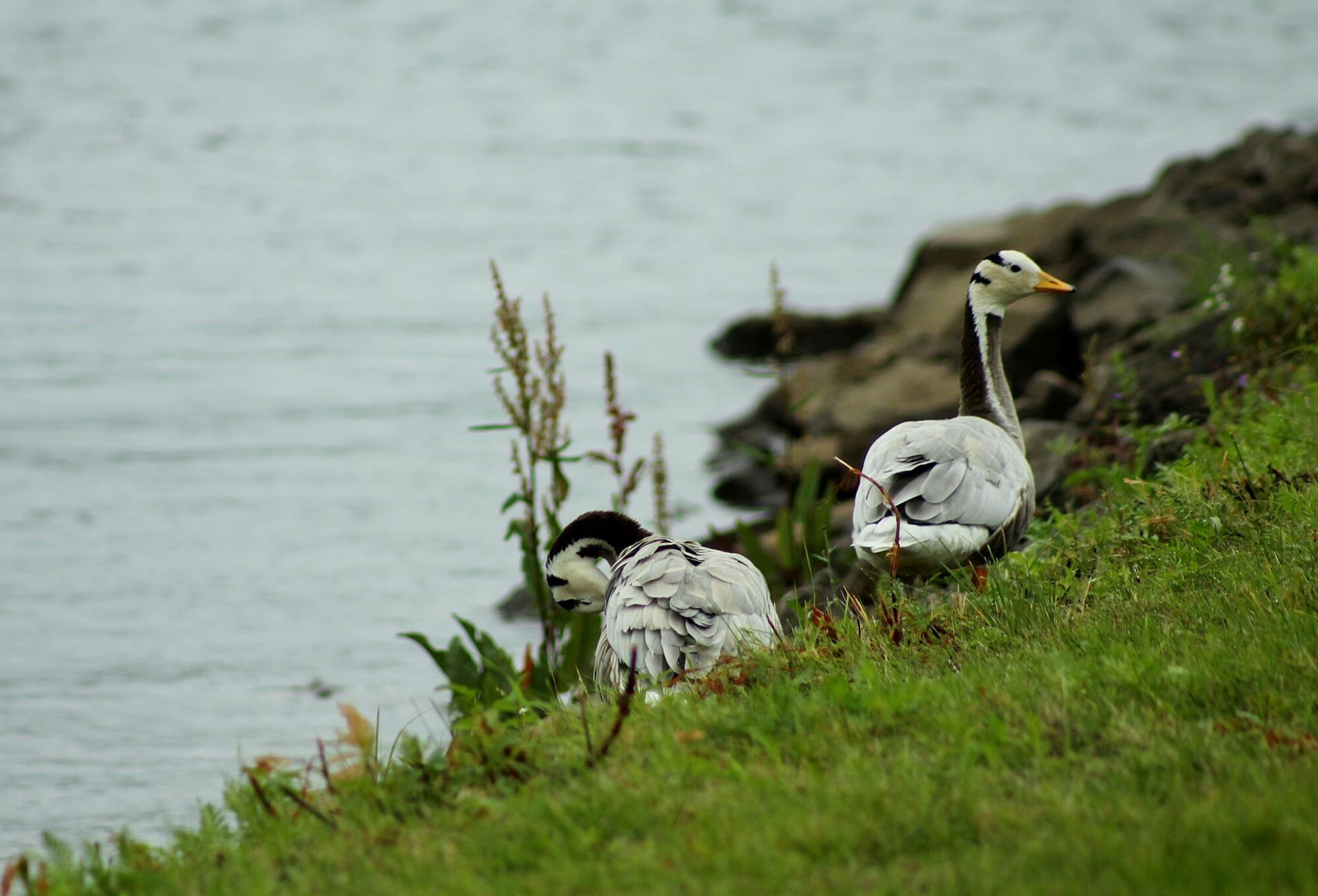 Valokuvaaja: Pirkko Siukonen