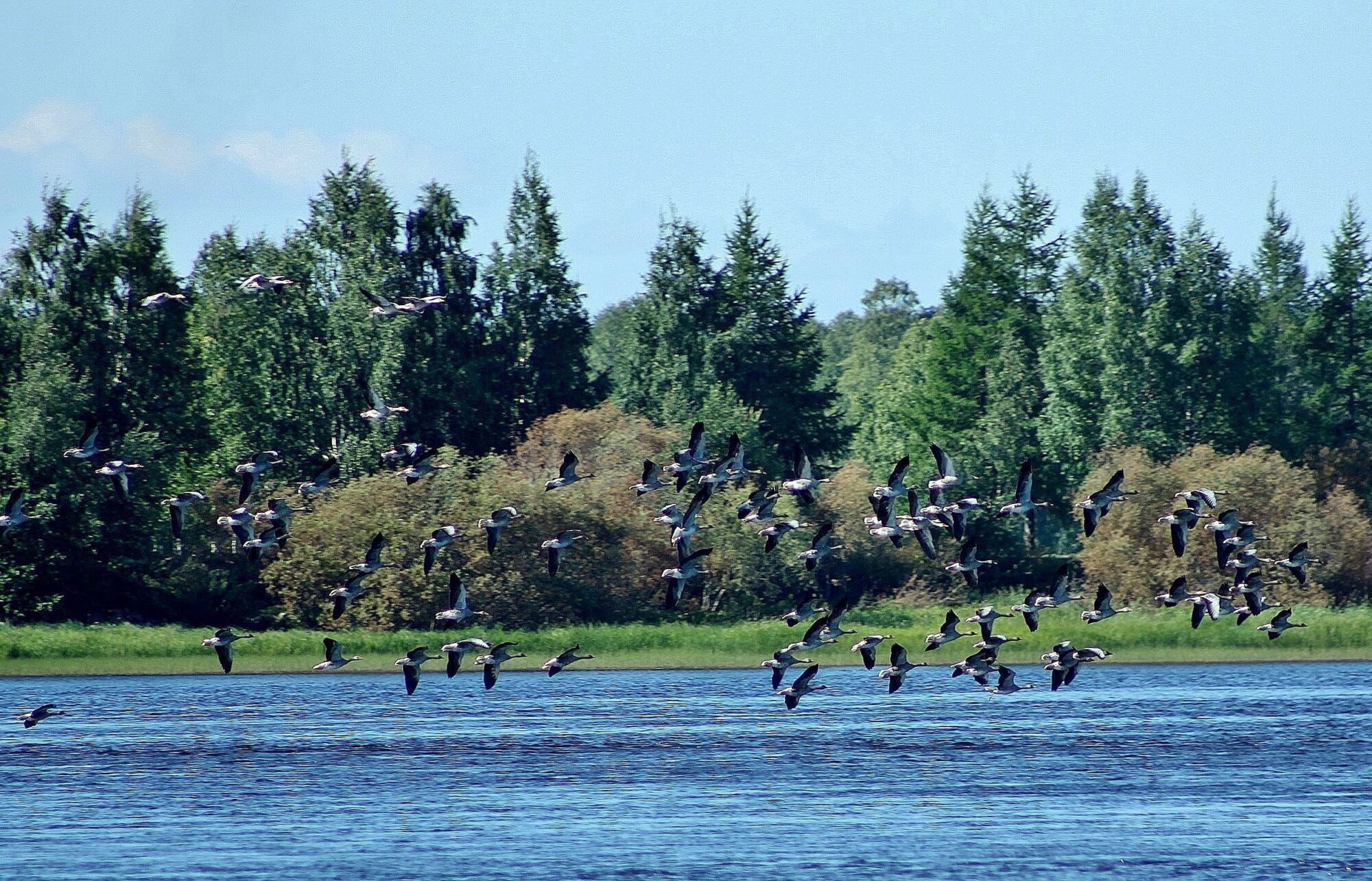 Valokuvaaja: Pirkko Siukonen