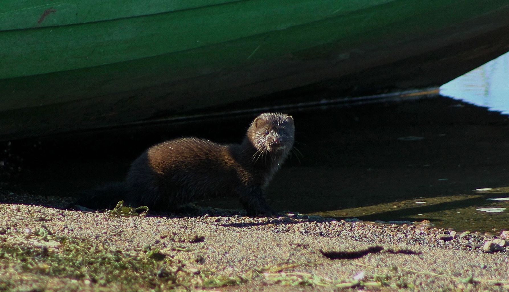 Valokuvaaja: Pirkko Siukonen