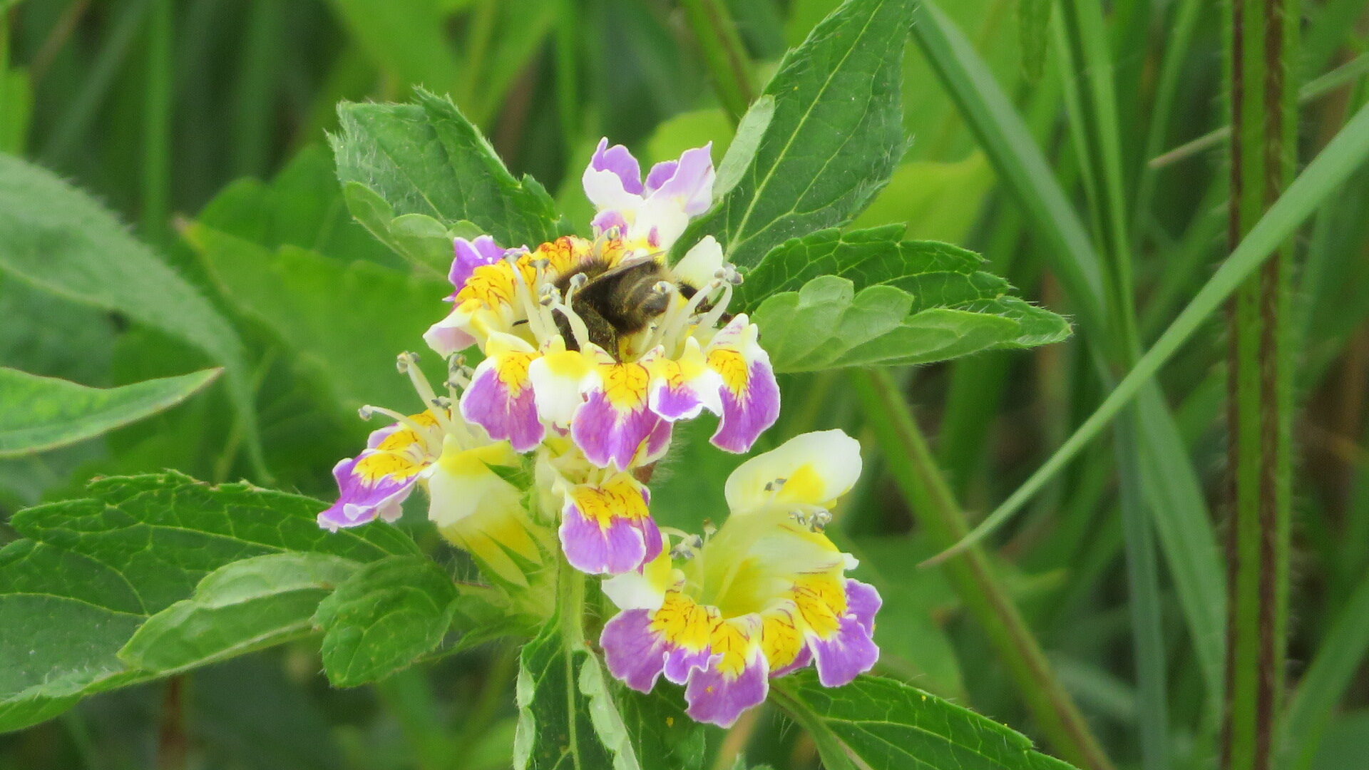 Valokuvaaja: Risto Kangassalo