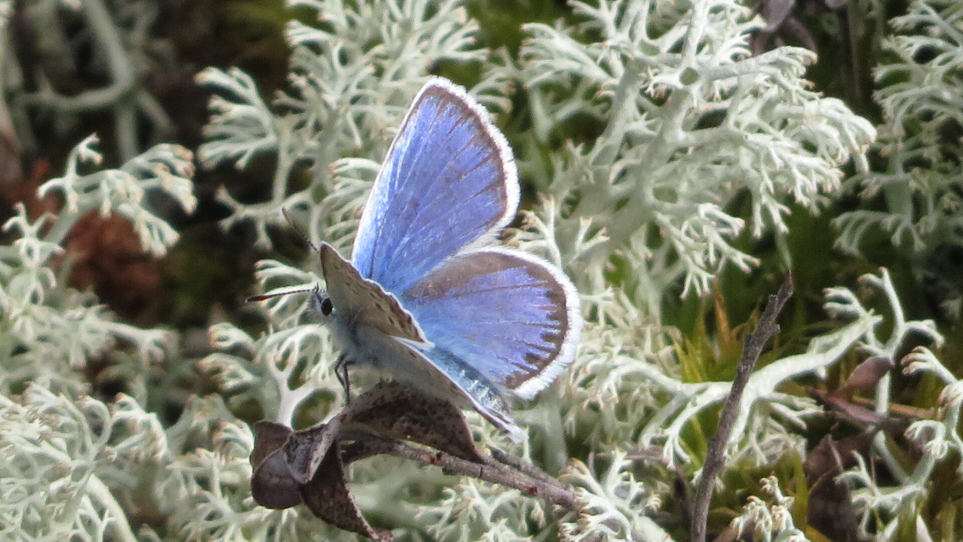 Valokuvaaja: Risto Kangassalo