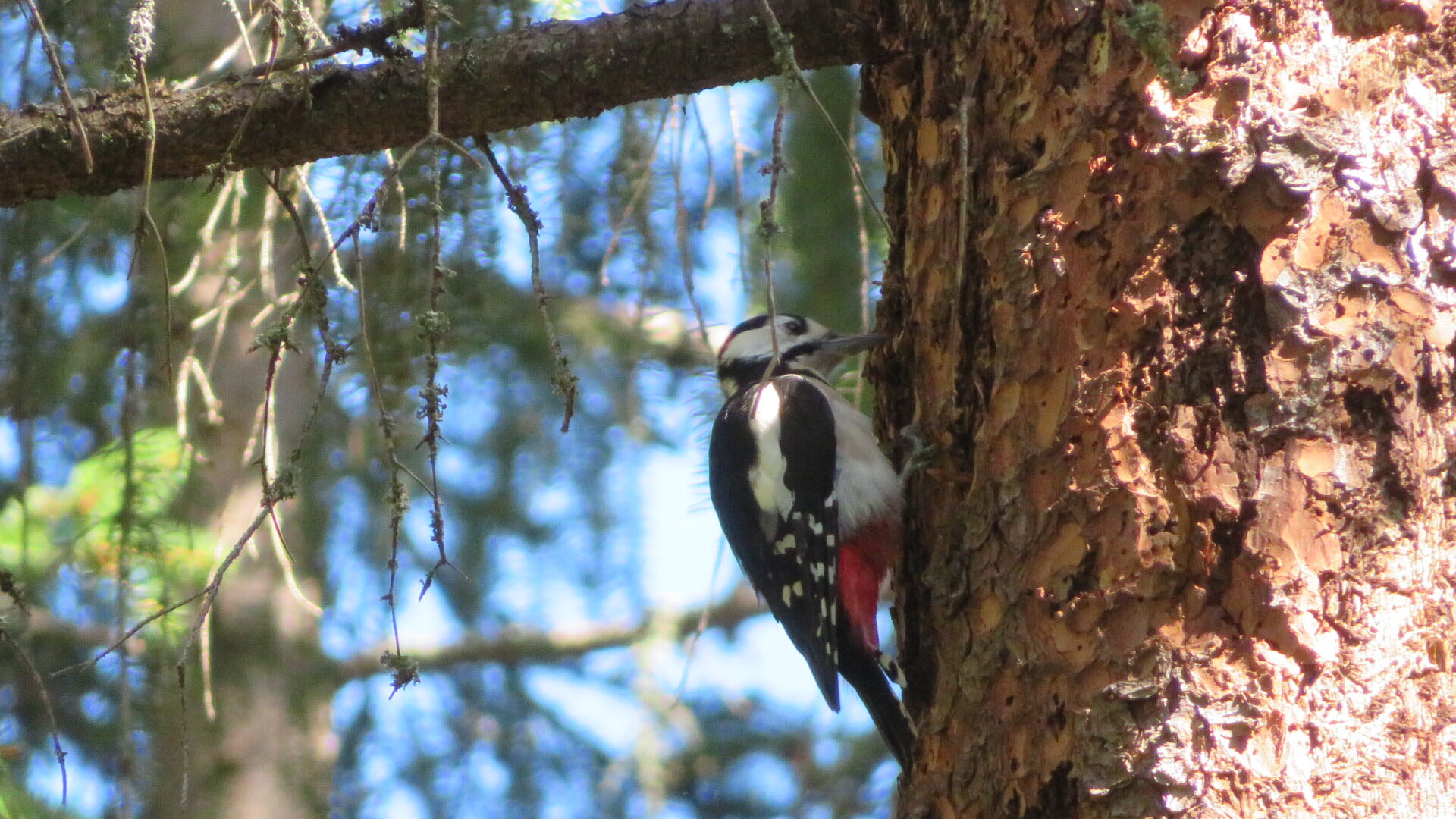 Valokuvaaja: Risto Kangassalo