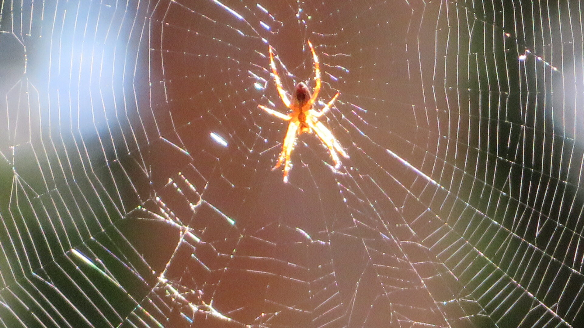 Valokuvaaja: Risto Kangassalo