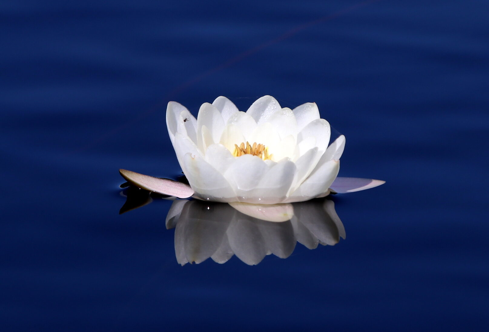 Valokuvaaja: Helena Sytelä