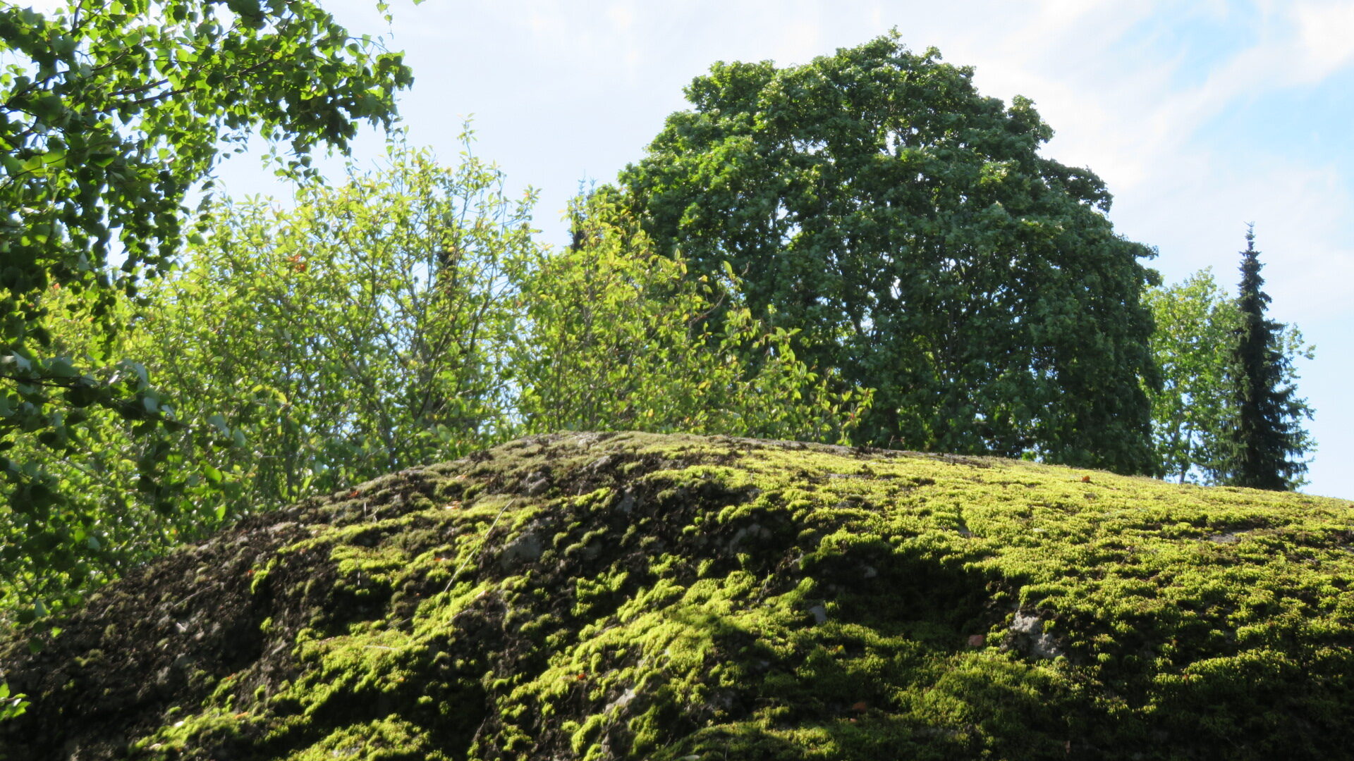 Valokuvaaja: Risto Kangassalo