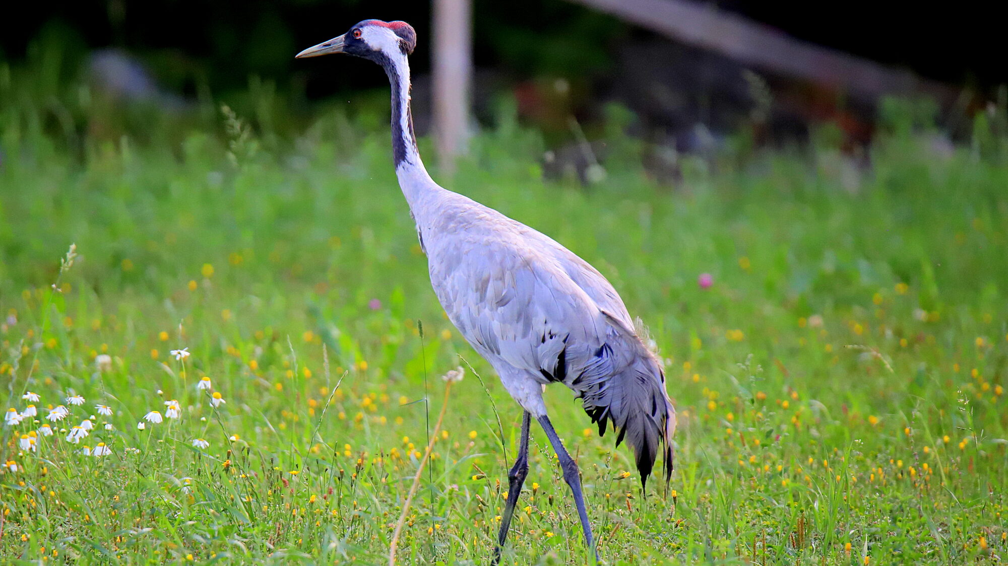 Valokuvaaja: Sirpa Jyske Valokuvaaja: Sirpa Jyske