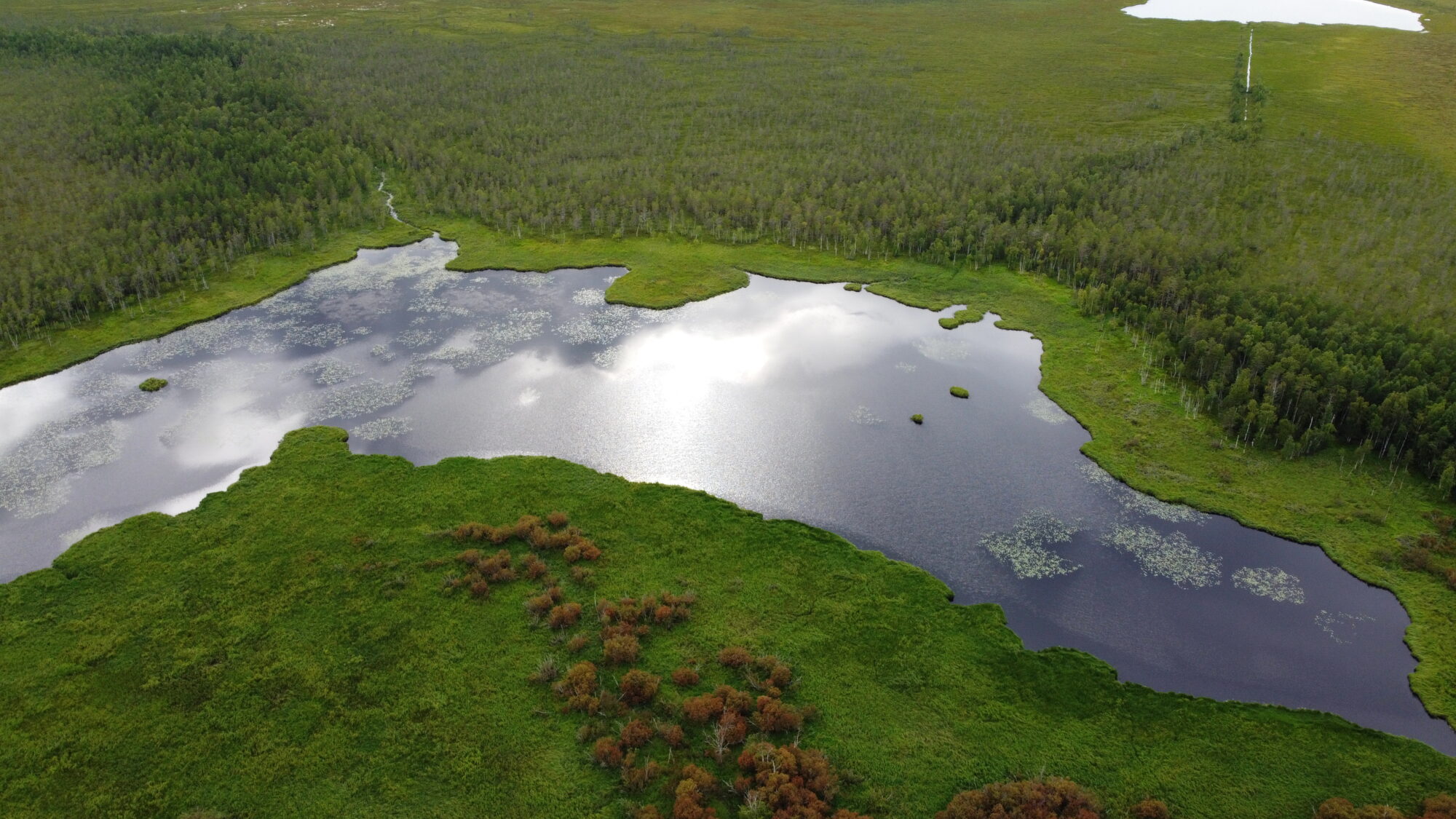 Valokuvaaja: Tommi Kujala